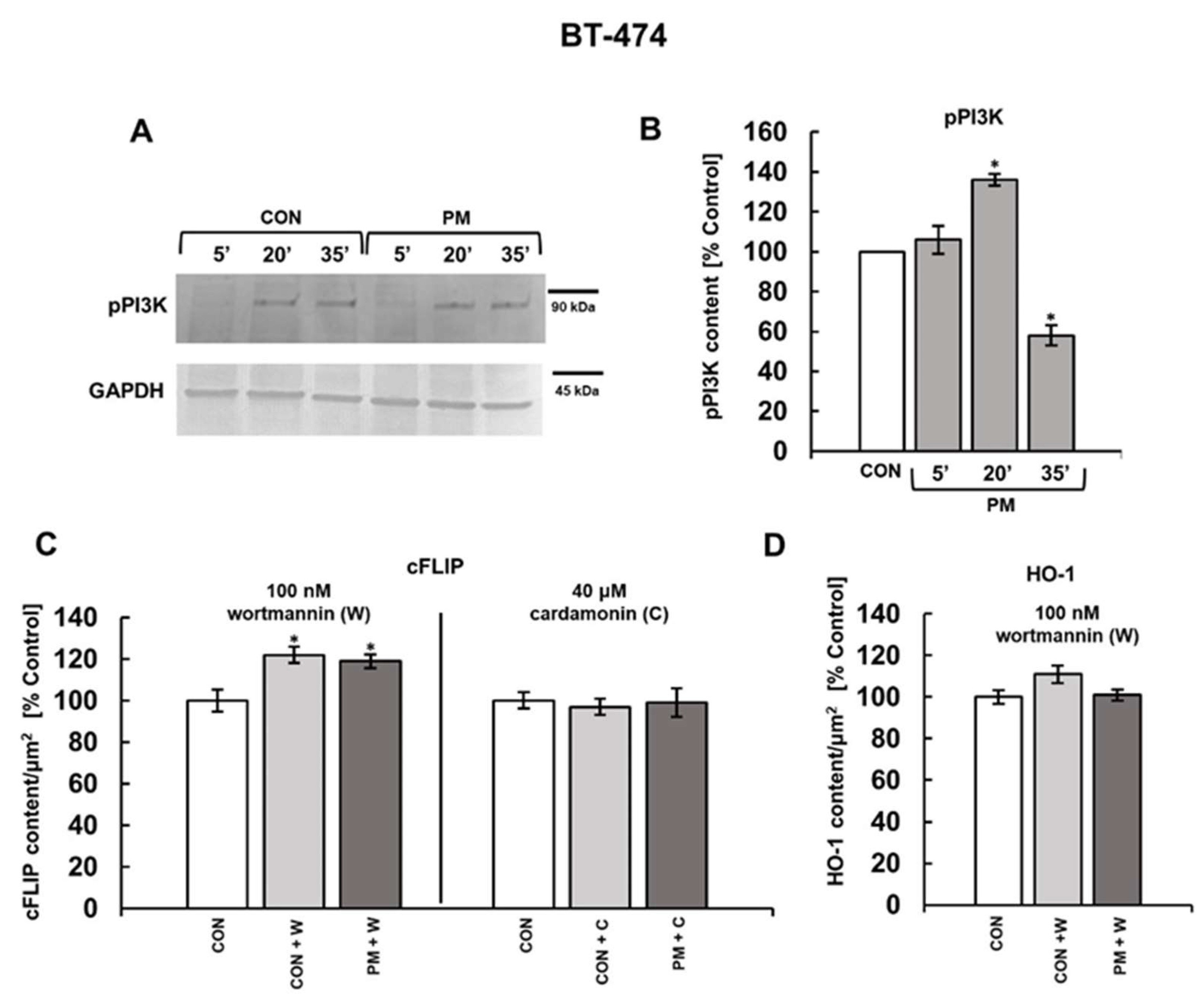 Cells 14 01581 g007 Cells 14 01581 g007