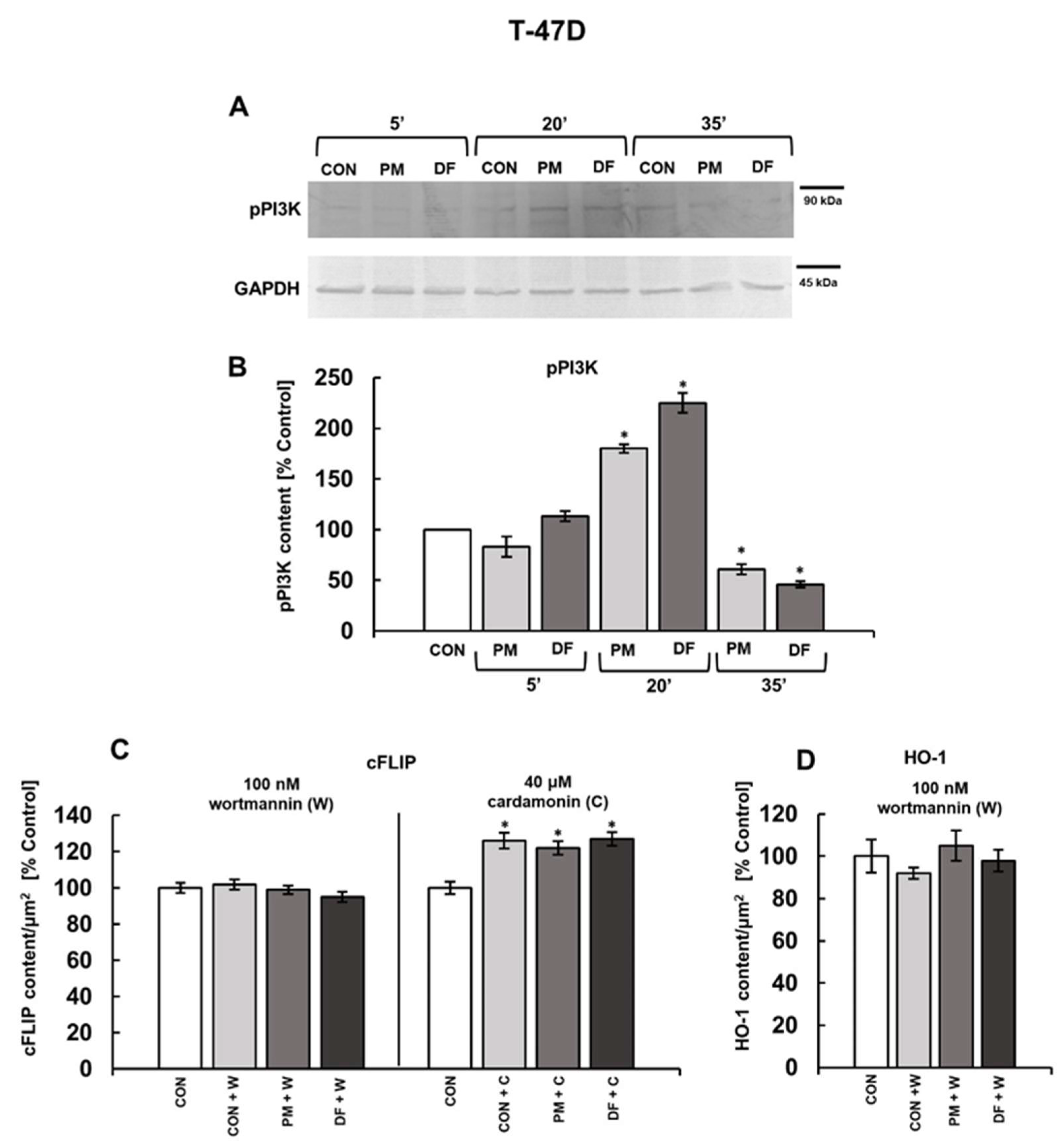 Cells 14 01581 g008 Cells 14 01581 g008