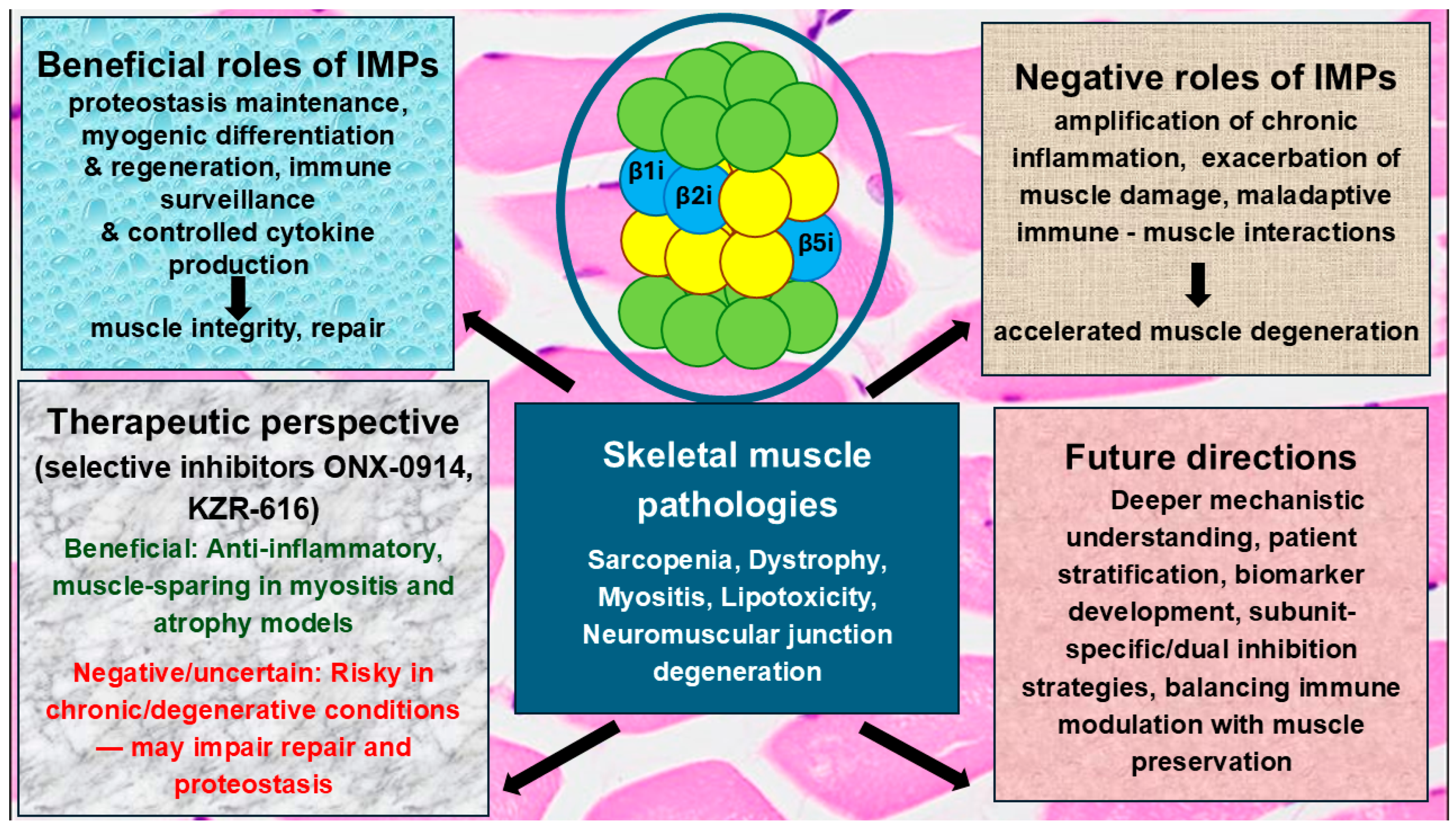 Cells 14 01586 g002 Cells 14 01586 g002