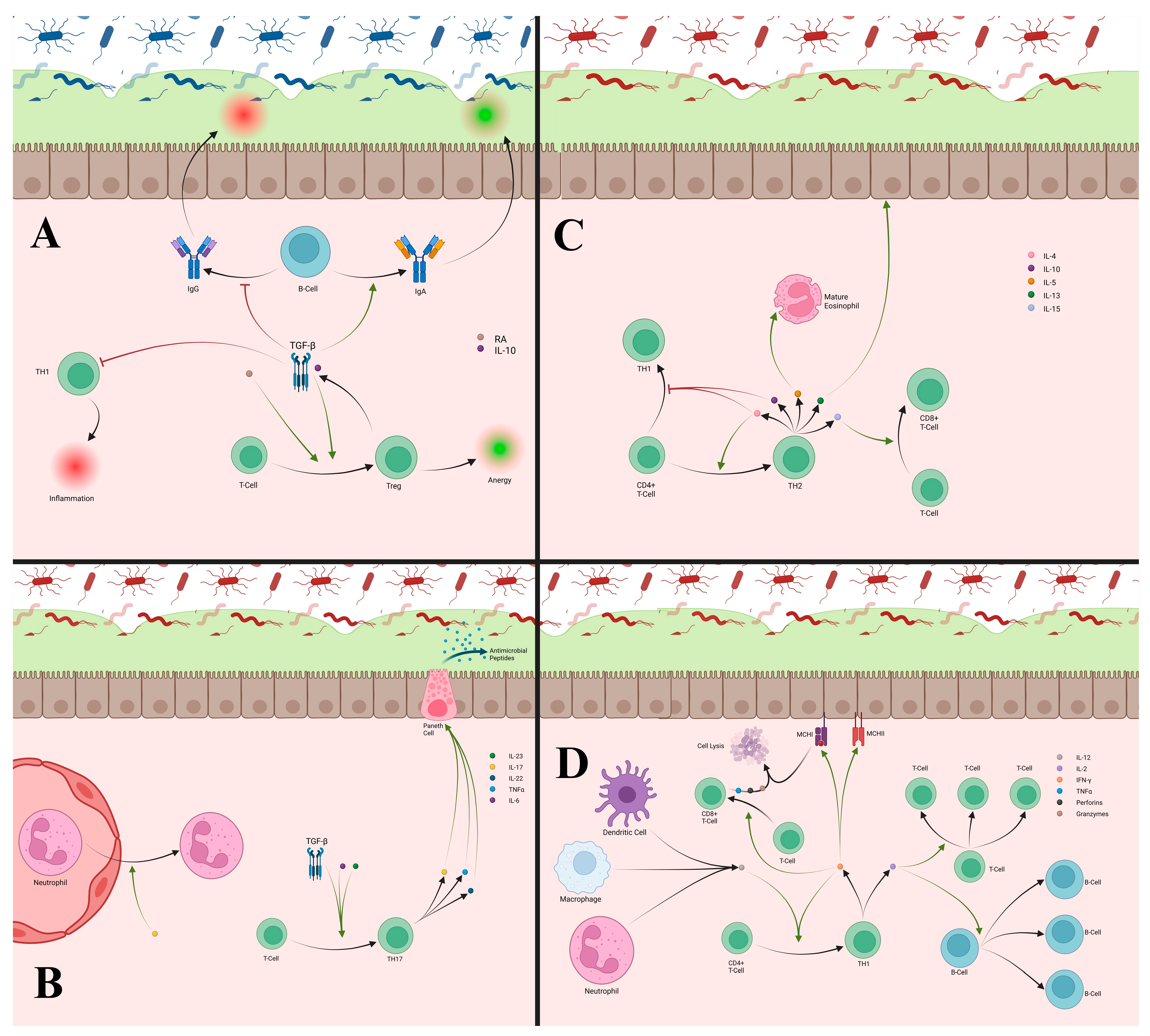 Cells 14 01589 g005 Cells 14 01589 g005