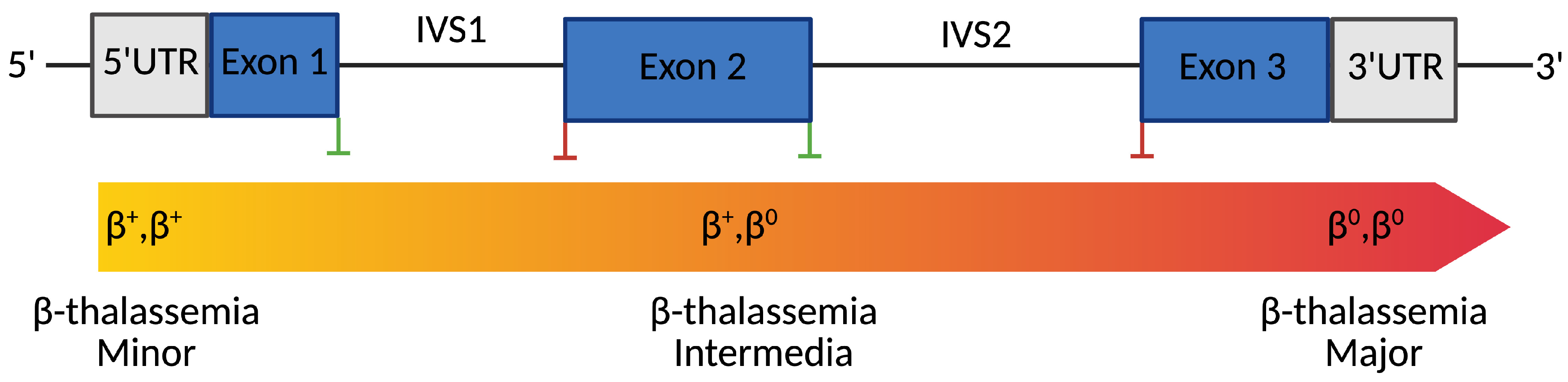 Cells 14 01595 g001 Cells 14 01595 g001