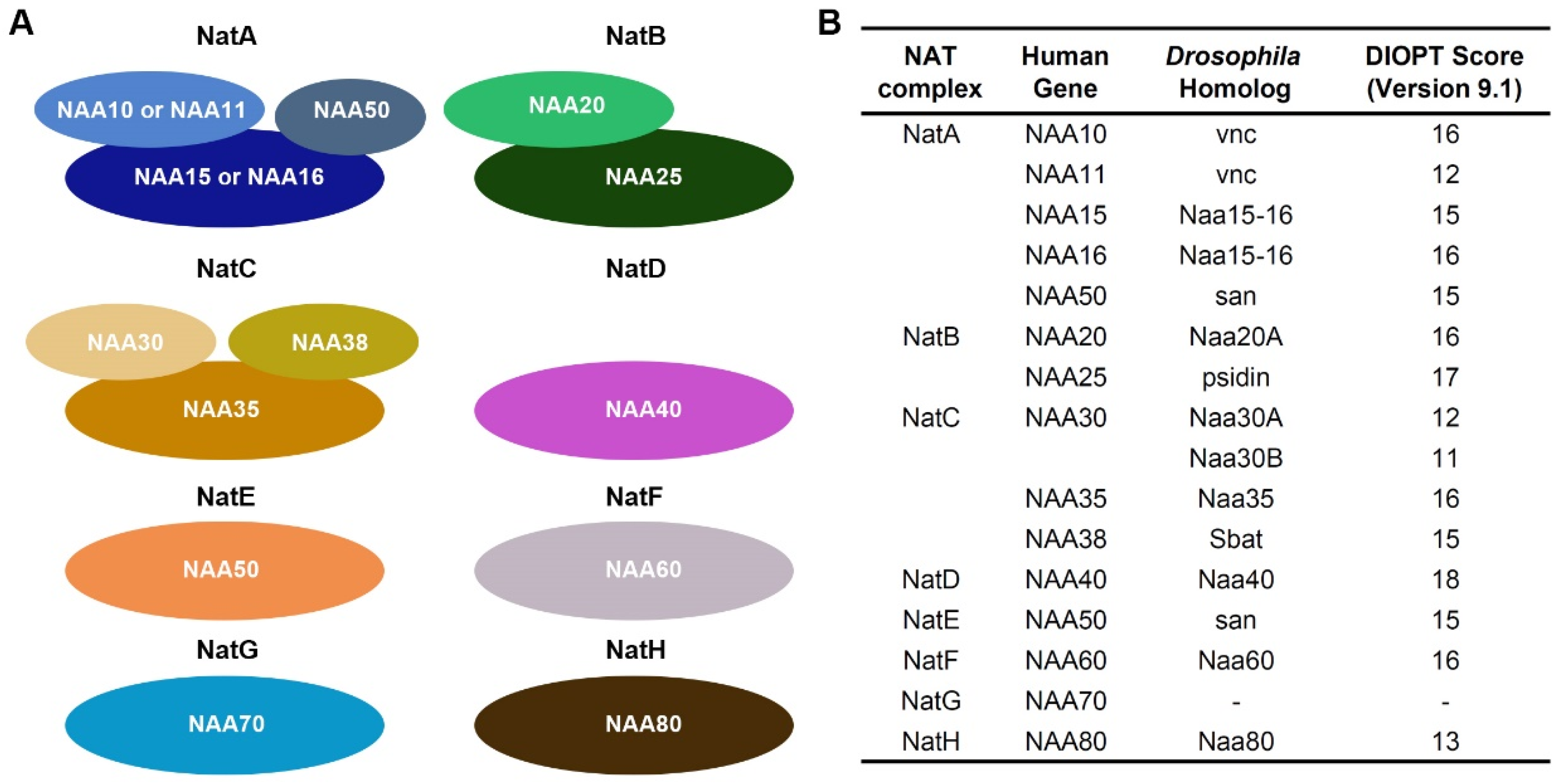 Cells 14 01596 g001 Cells 14 01596 g001