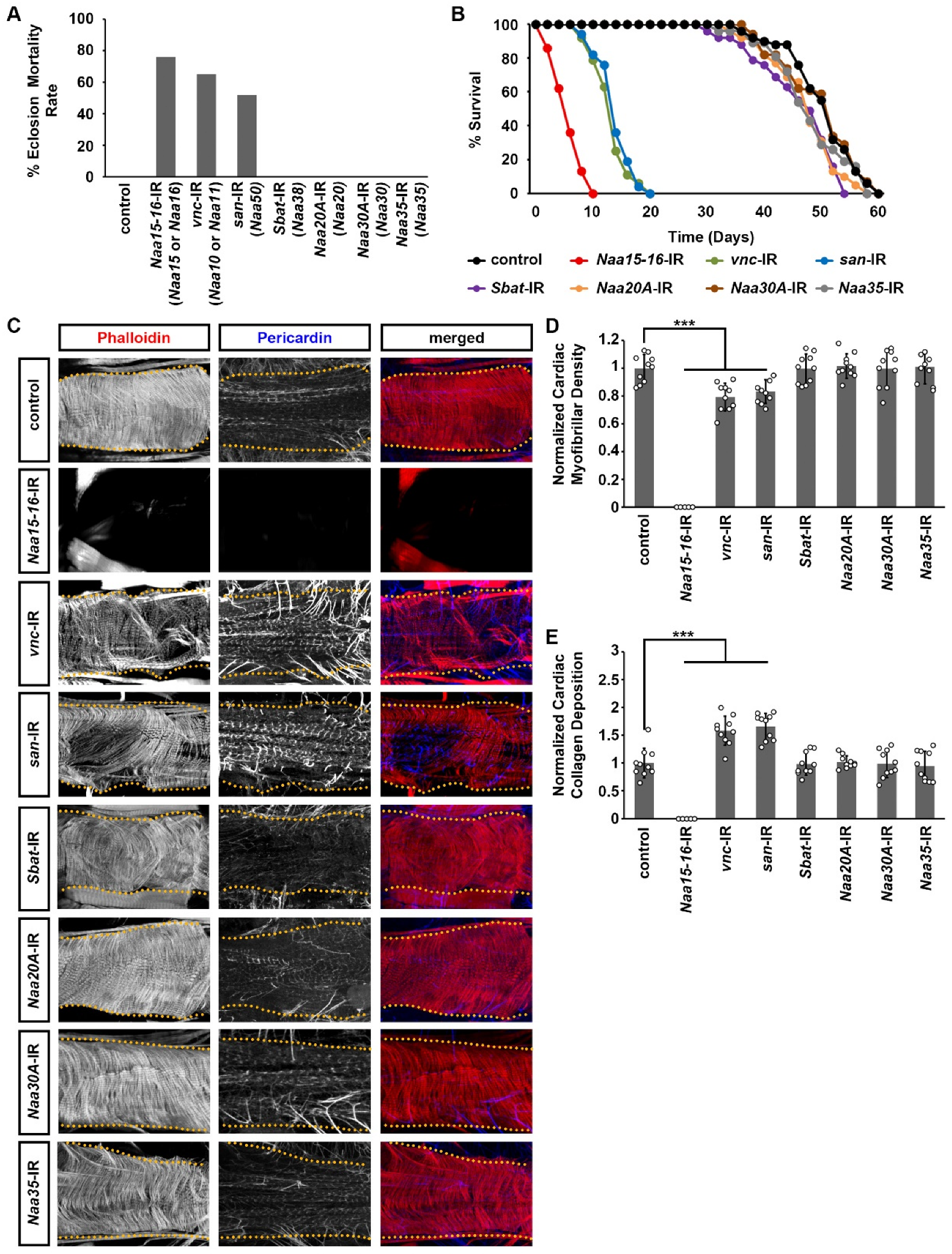 Cells 14 01596 g002 Cells 14 01596 g002