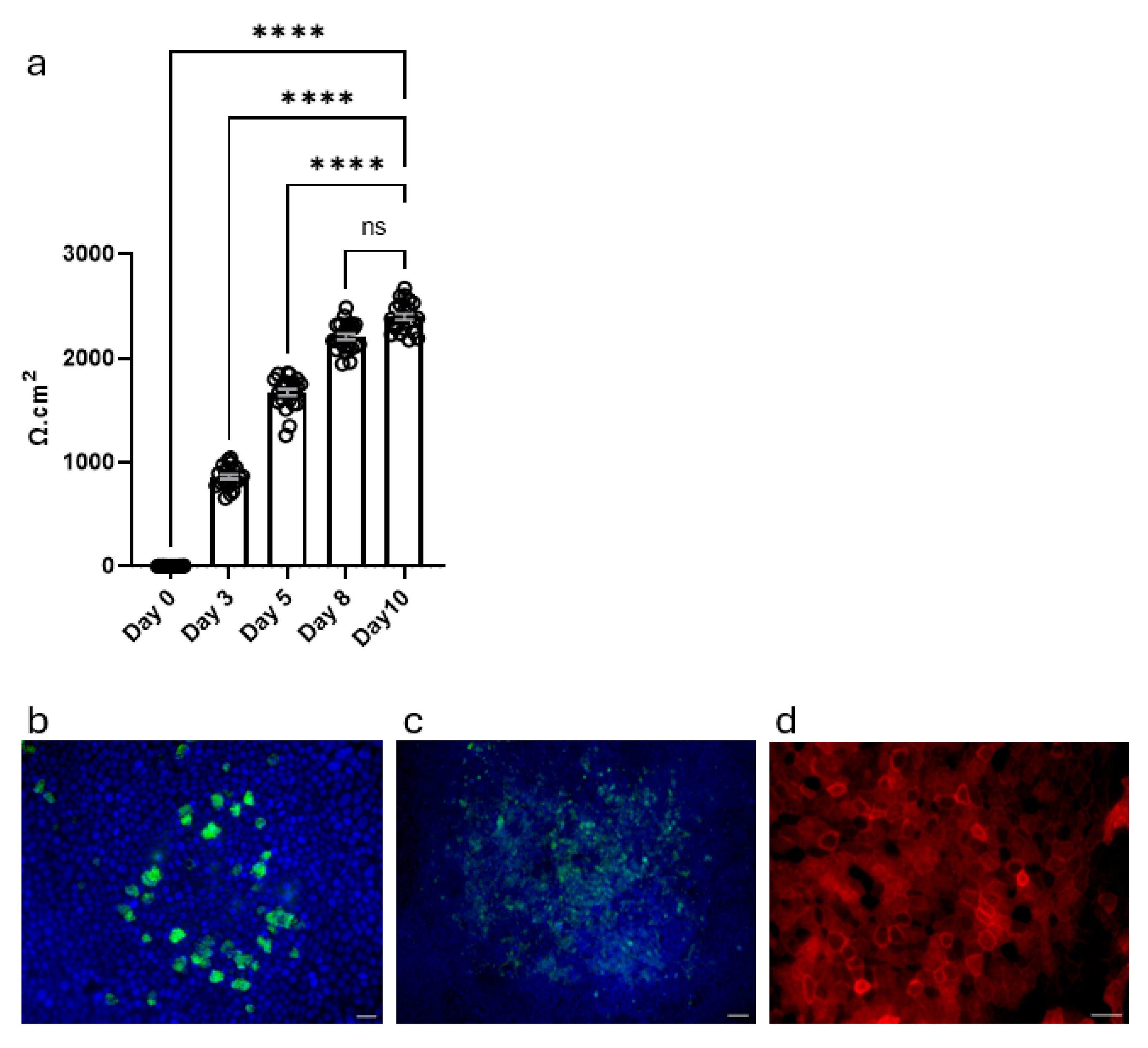 Cells 14 01598 g004 Cells 14 01598 g004