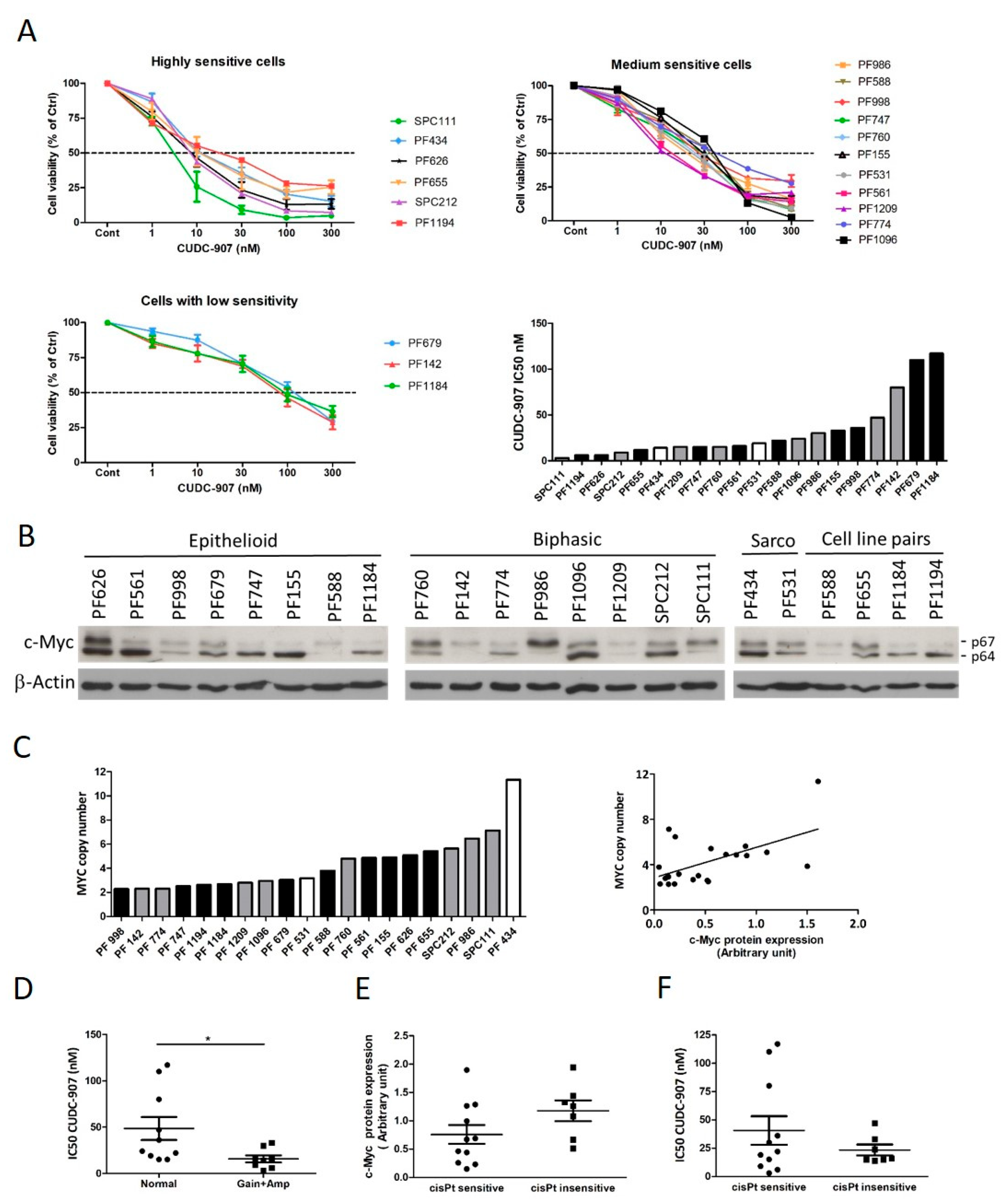 Cells 14 01599 g001 Cells 14 01599 g001
