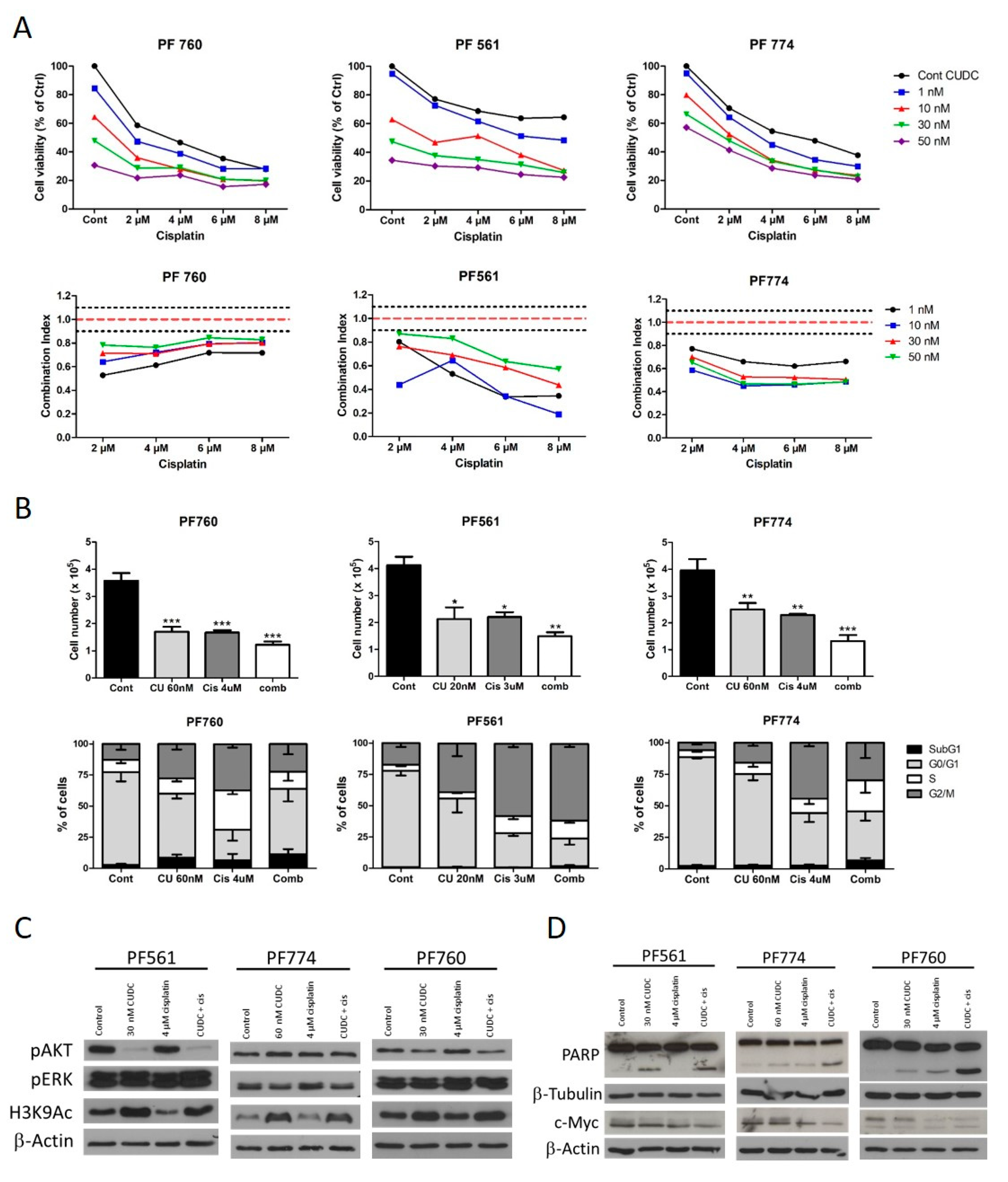 Cells 14 01599 g003 Cells 14 01599 g003