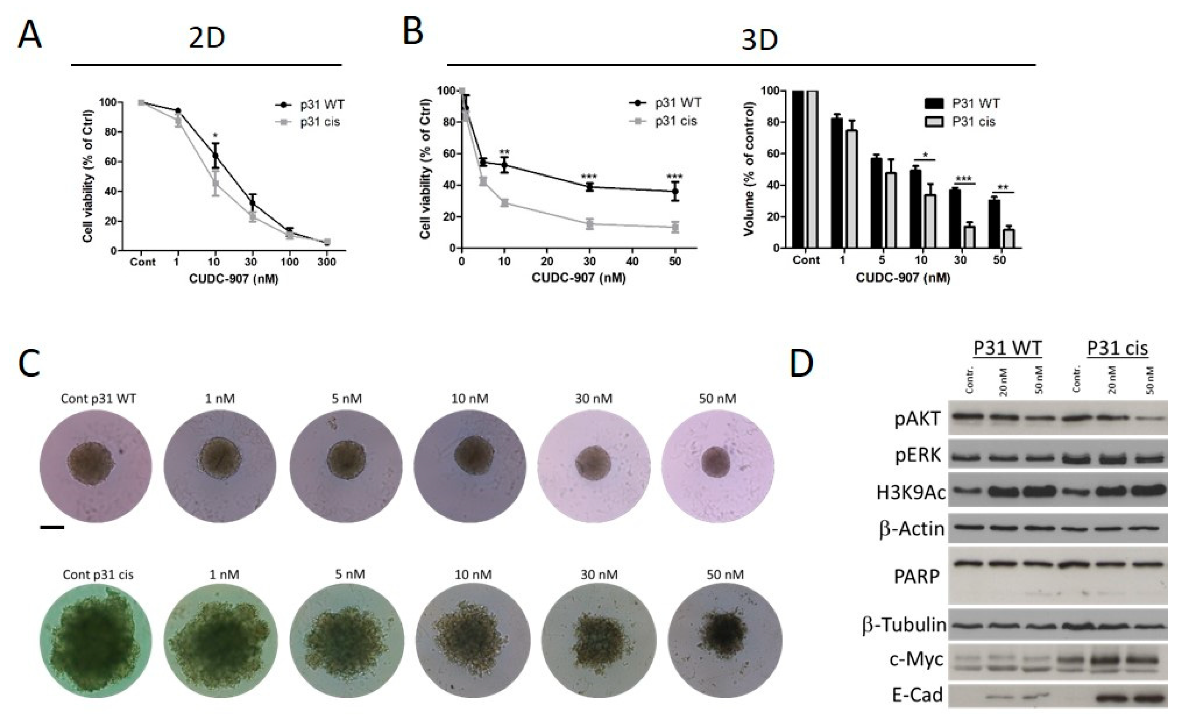 Cells 14 01599 g004 Cells 14 01599 g004