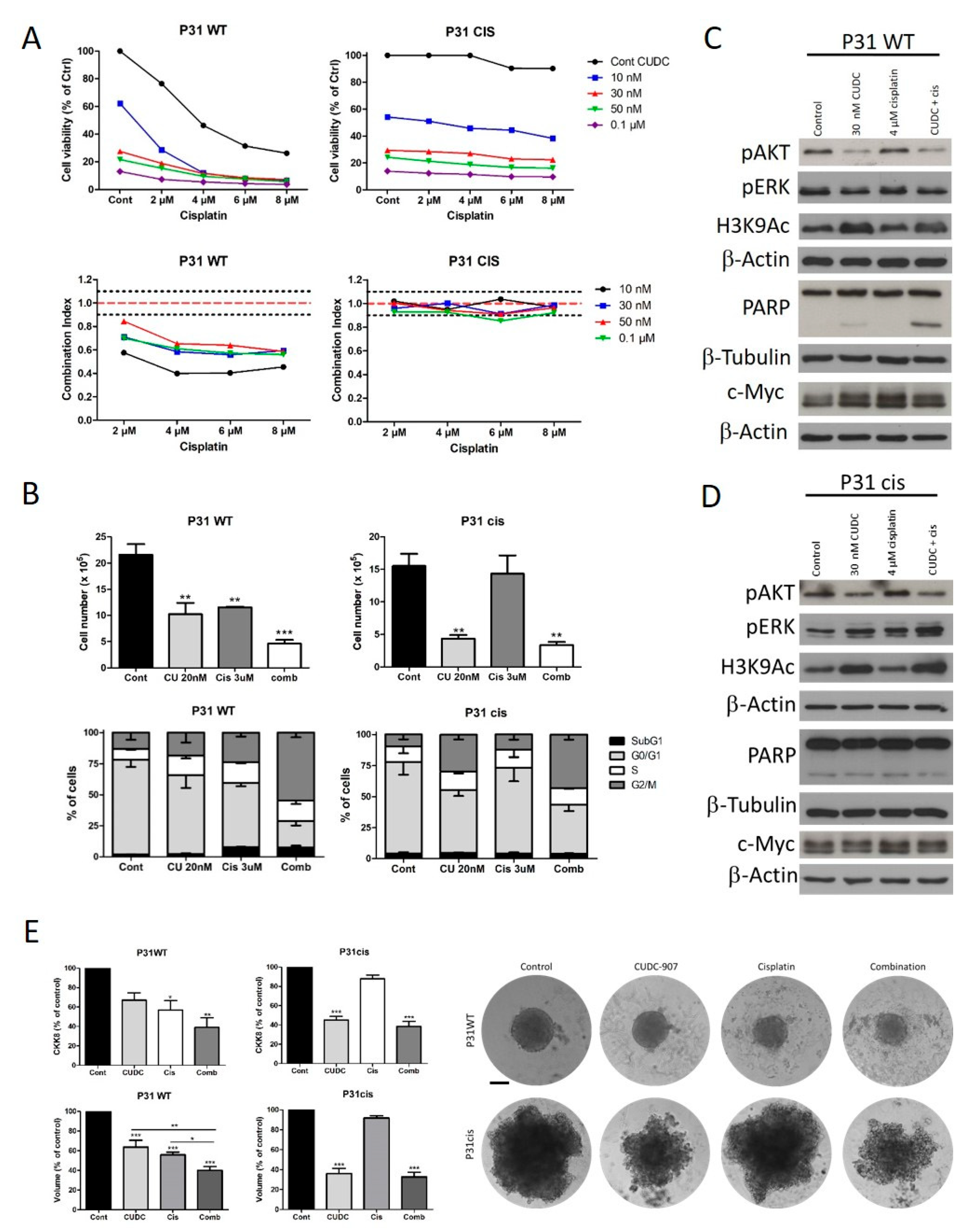 Cells 14 01599 g005 Cells 14 01599 g005