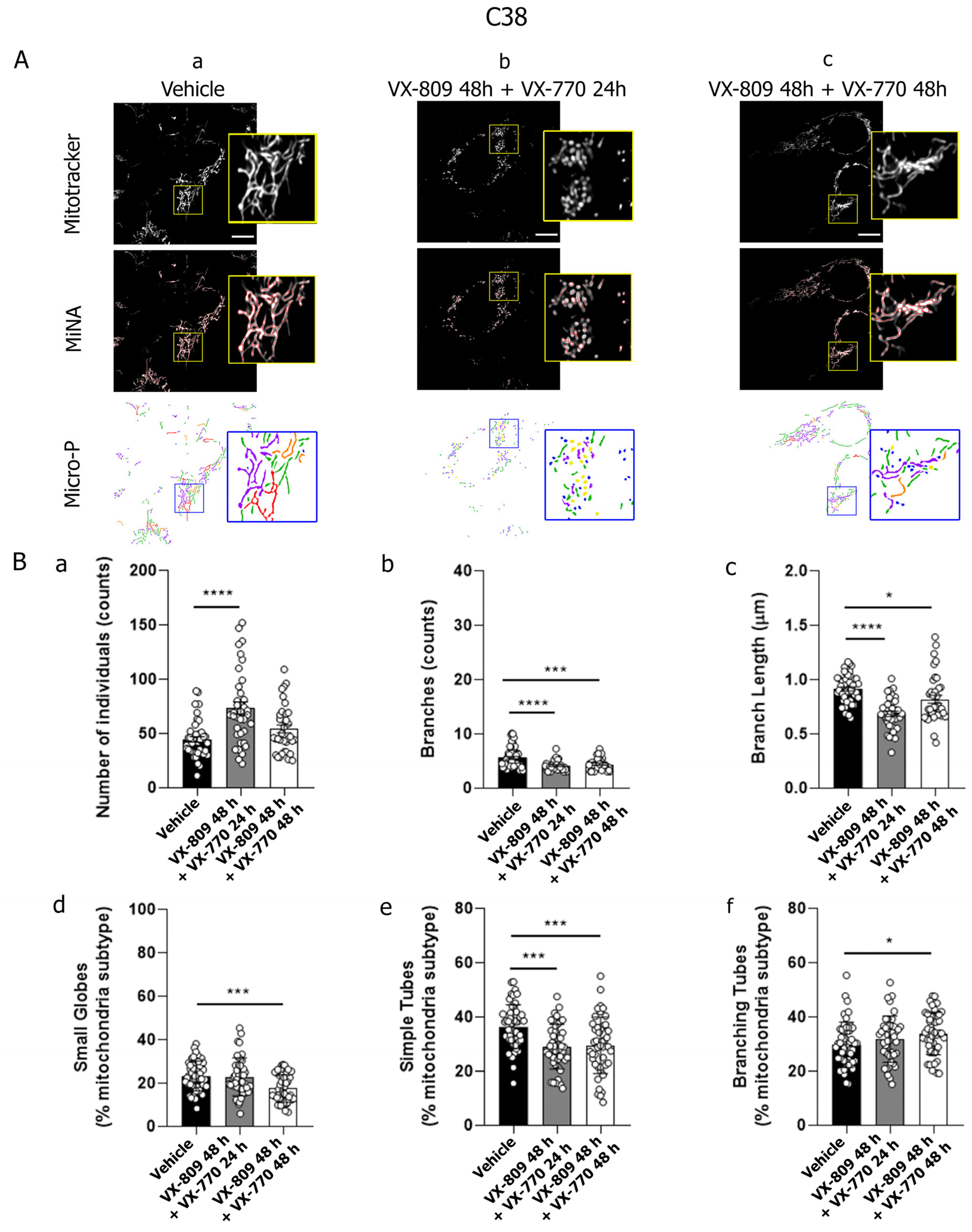 Cells 14 01601 g004 Cells 14 01601 g004