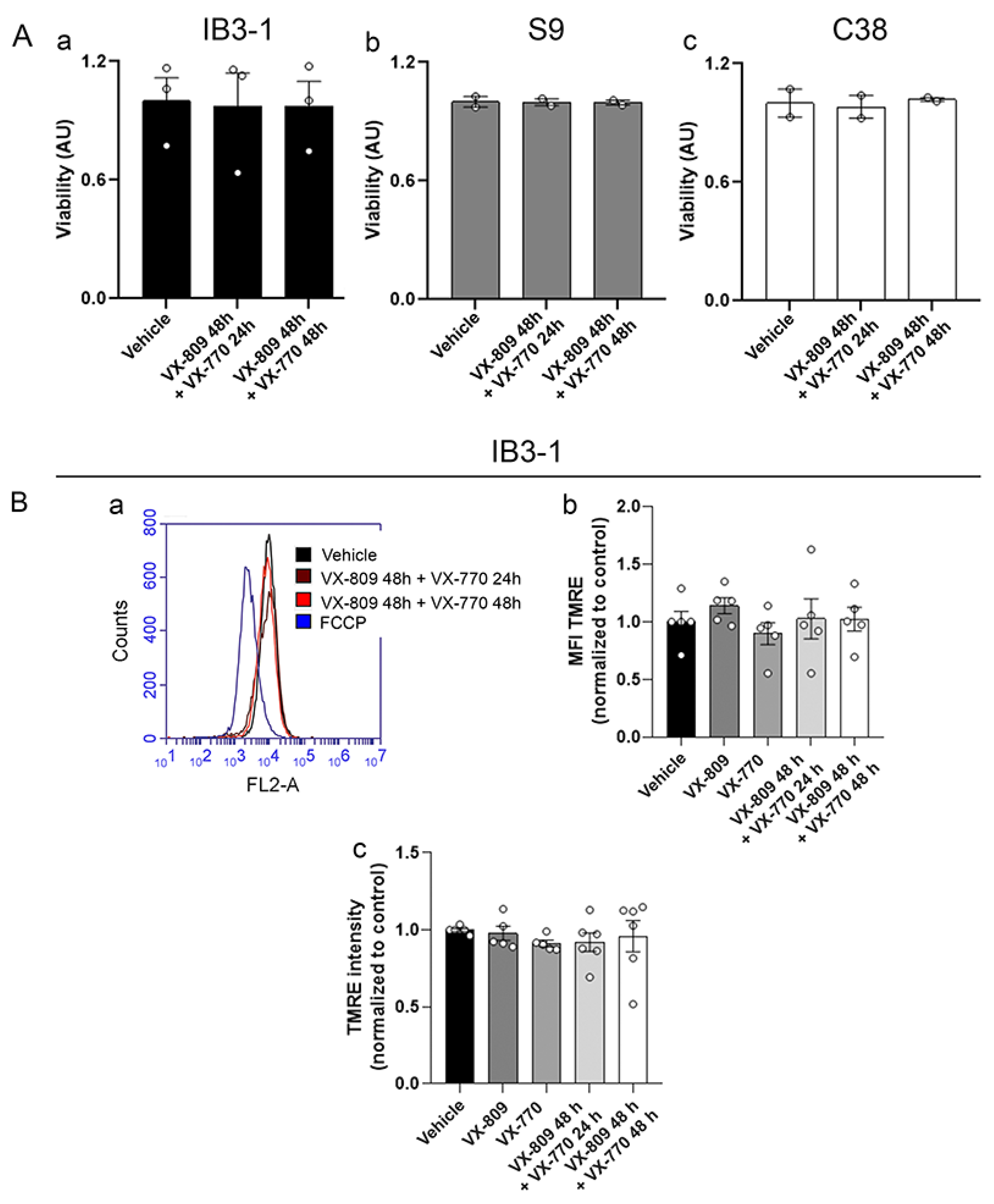 Cells 14 01601 g005 Cells 14 01601 g005