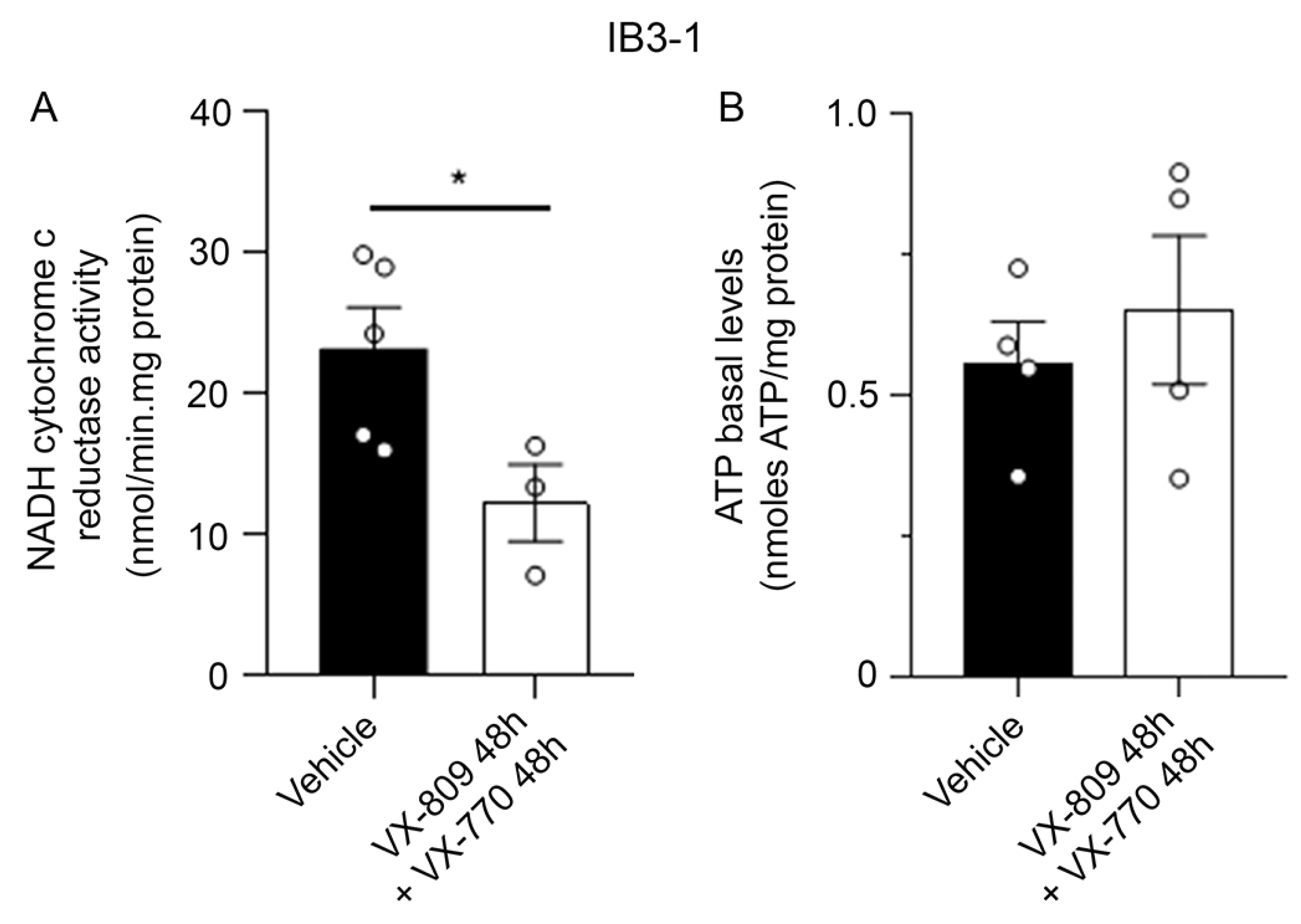 Cells 14 01601 g007 Cells 14 01601 g007