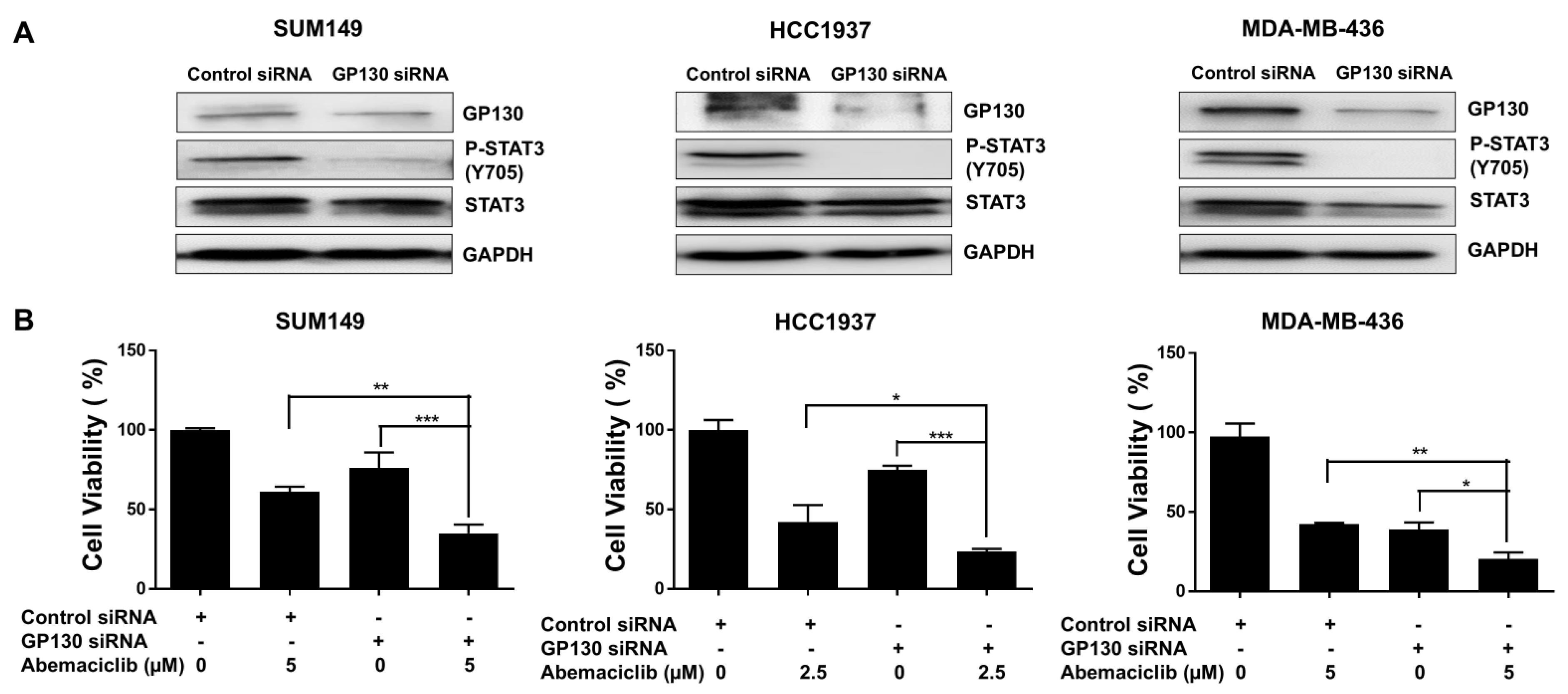 Cells 14 01602 g004 Cells 14 01602 g004