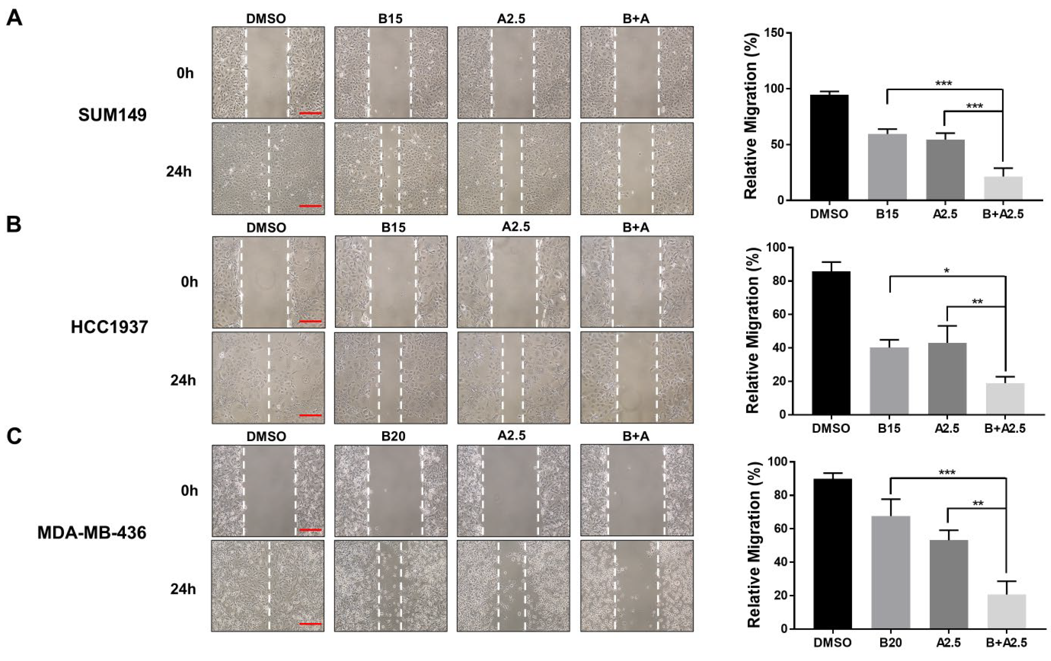 Cells 14 01602 g005 Cells 14 01602 g005