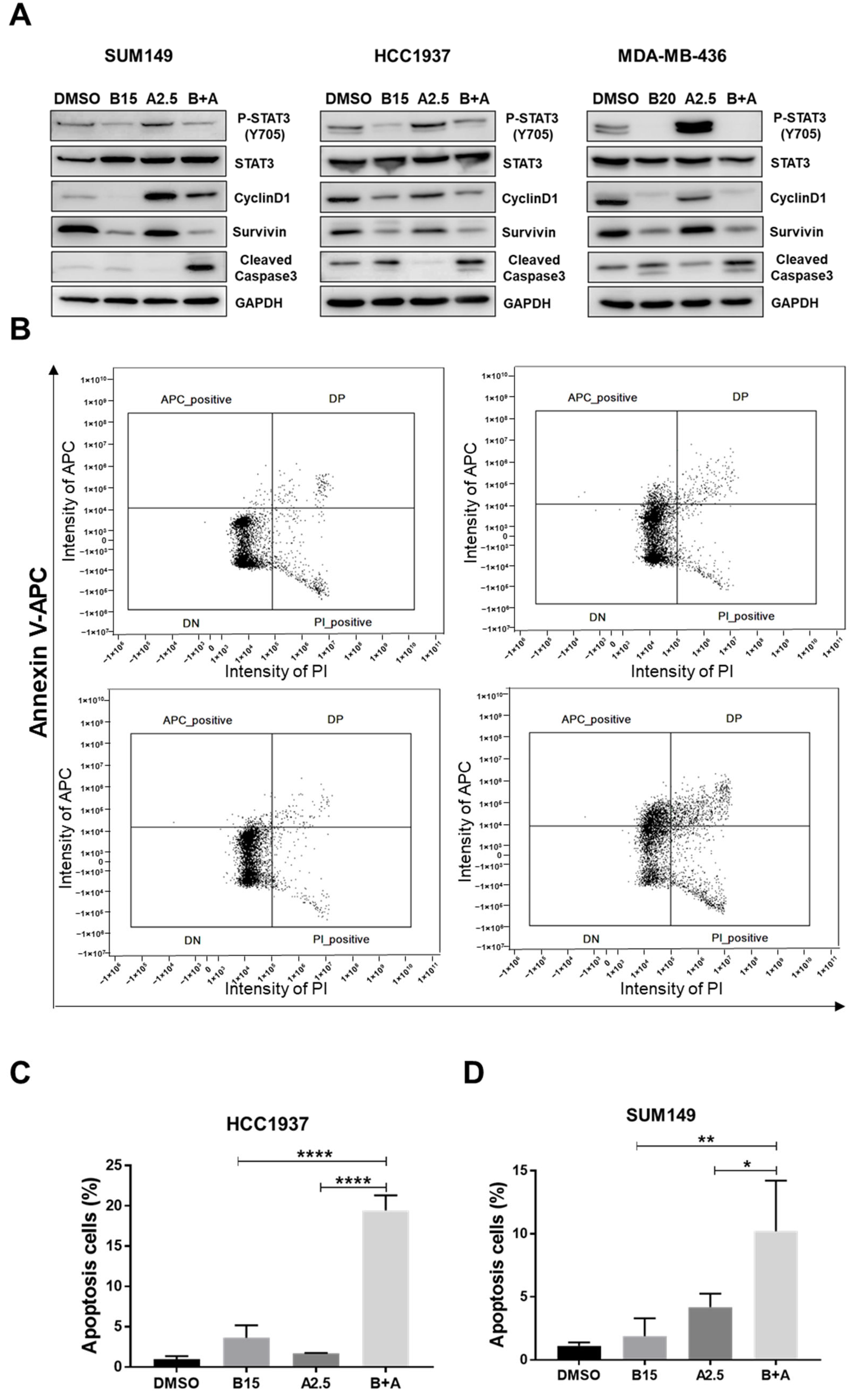 Cells 14 01602 g007 Cells 14 01602 g007