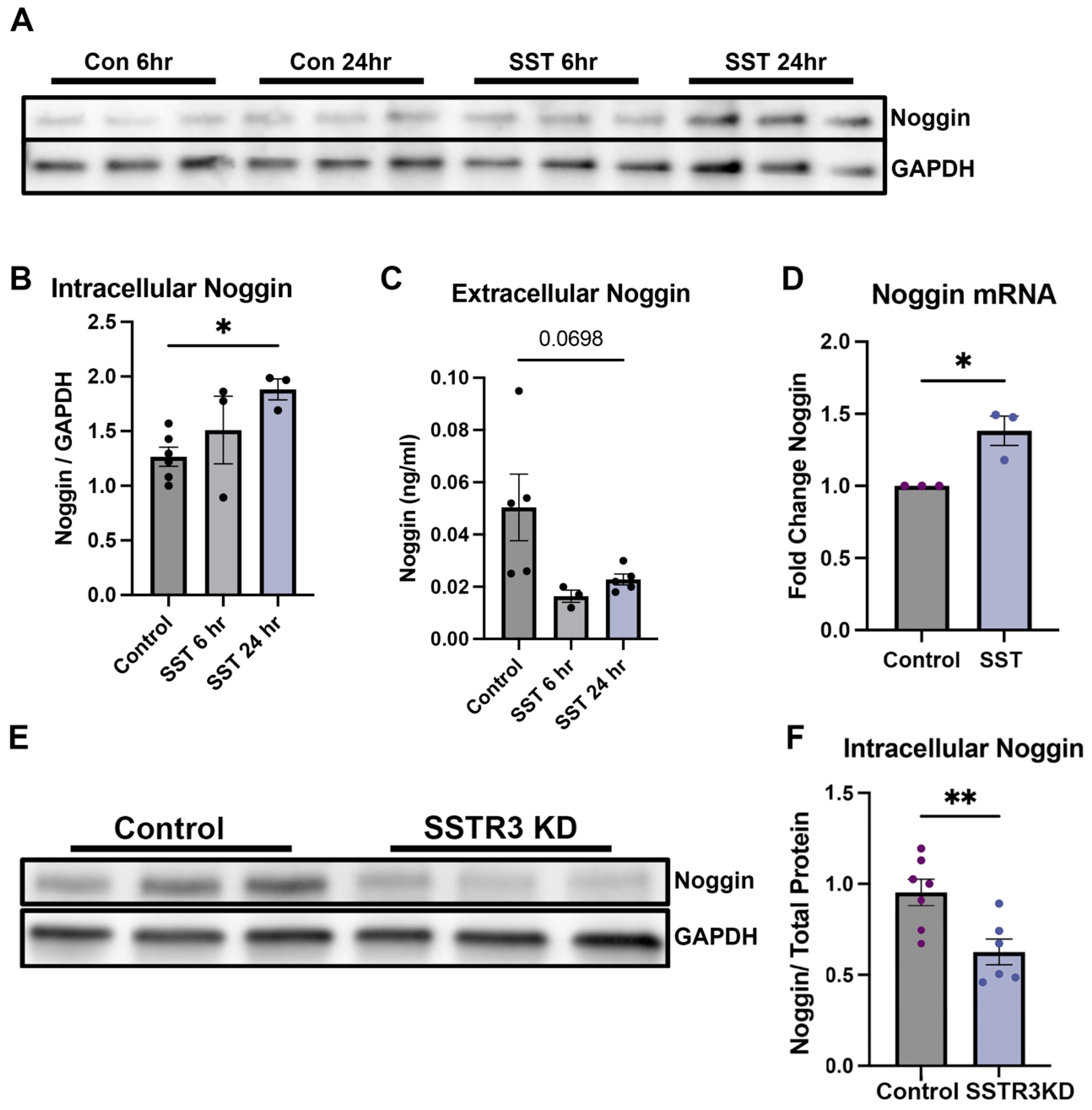 Cells 14 01607 g004 Cells 14 01607 g004