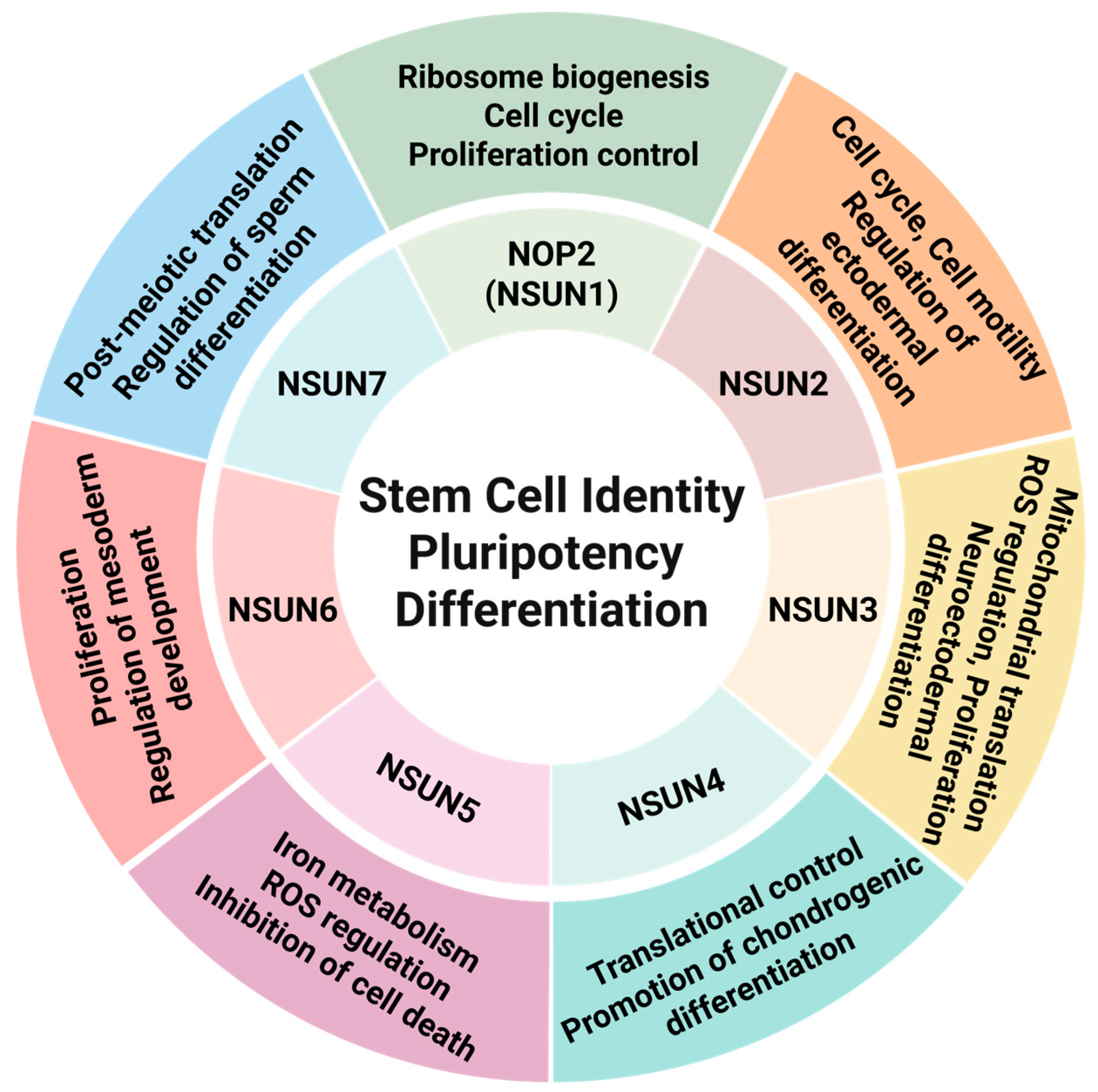 Cells 14 01609 g004 Cells 14 01609 g004