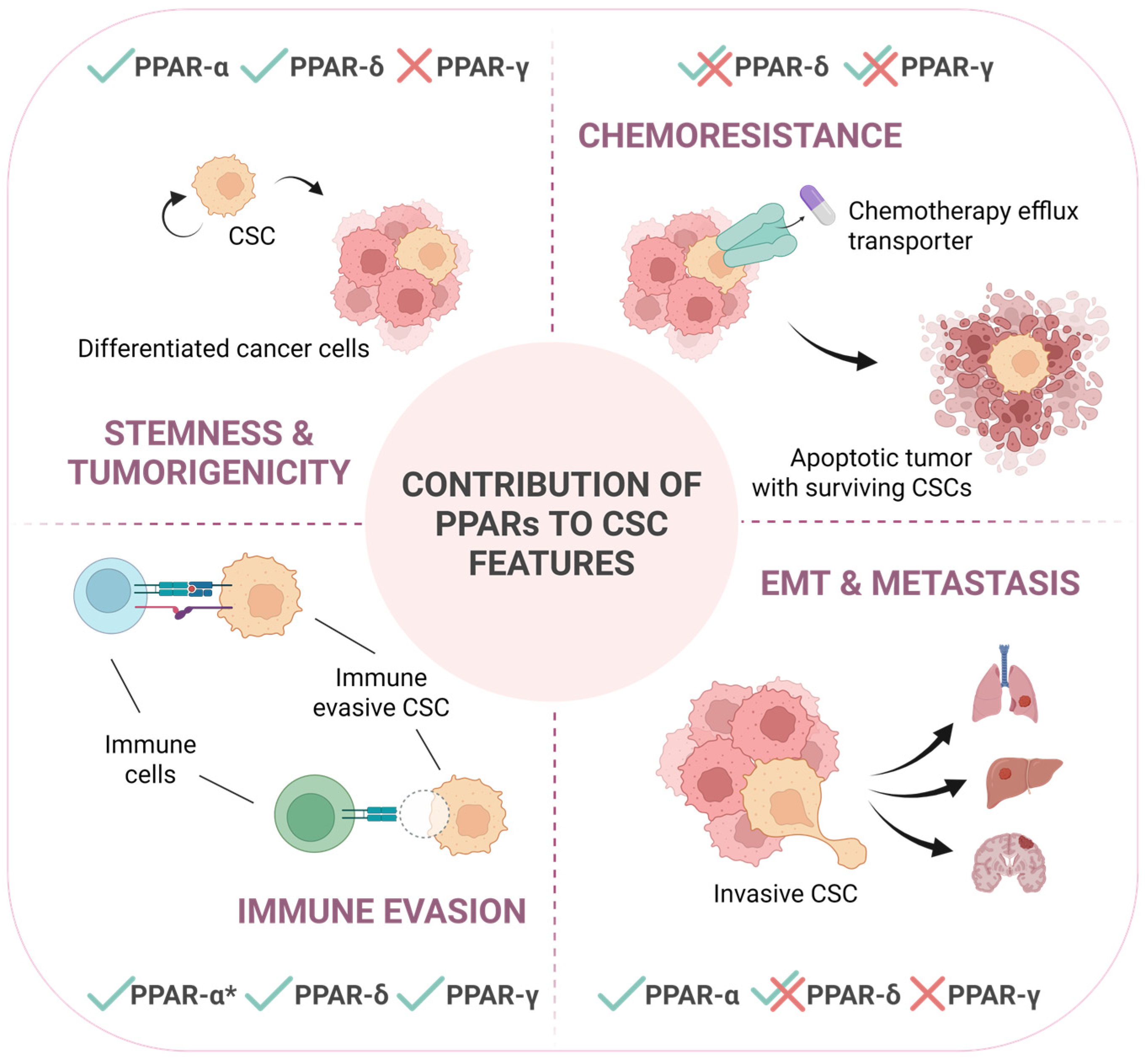 Cells 14 01610 g002 Cells 14 01610 g002