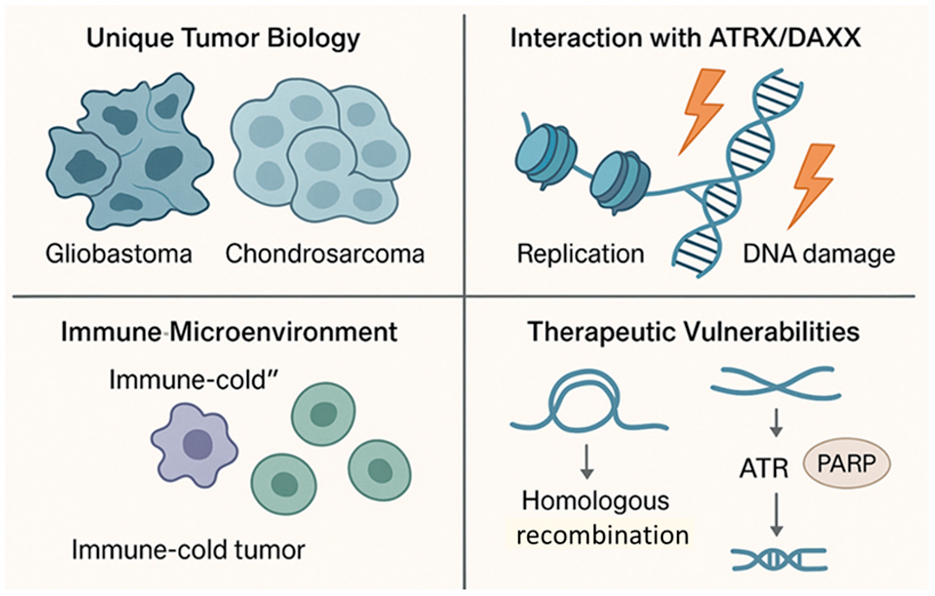 Cells 14 01613 g002 Cells 14 01613 g002