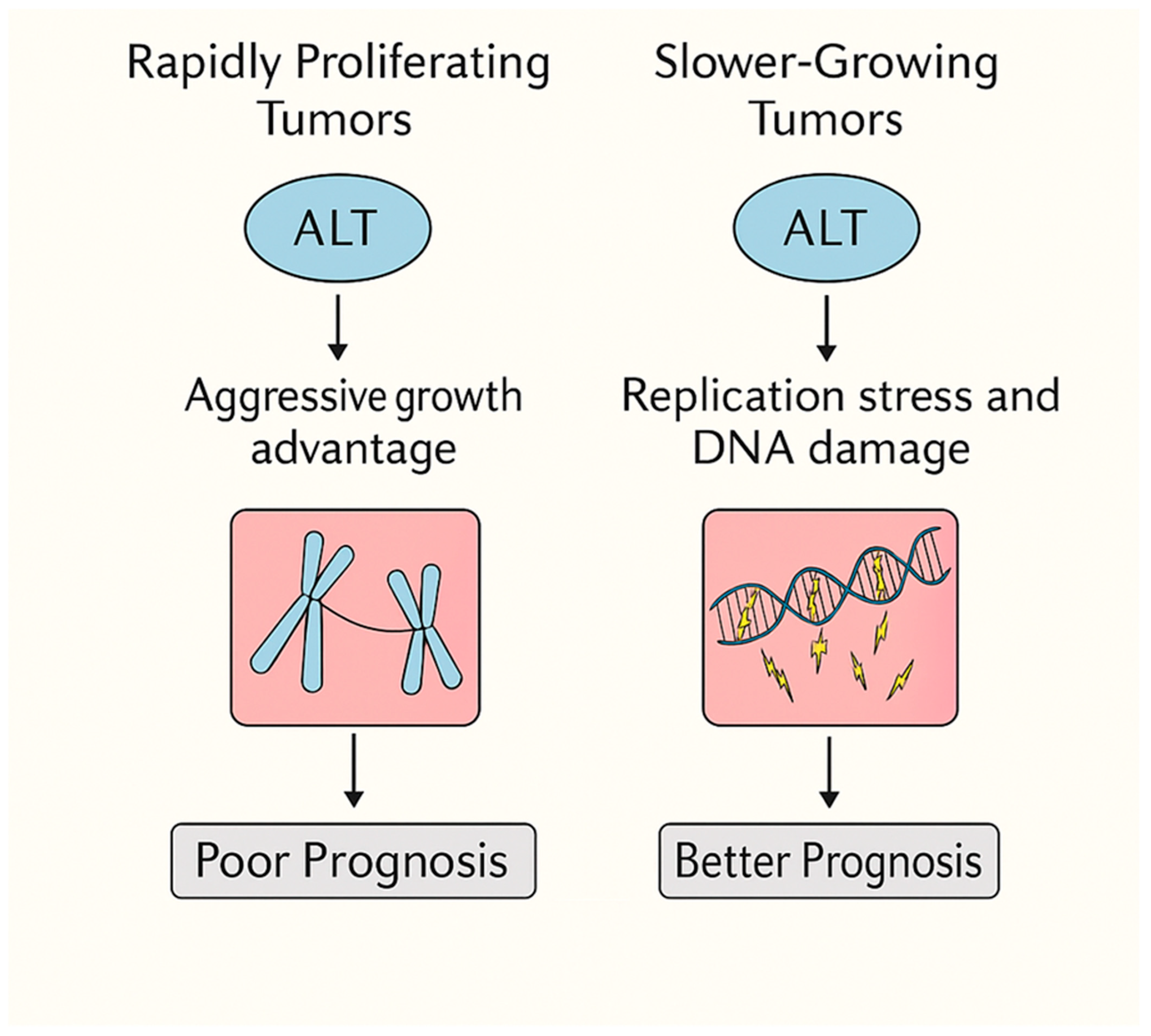Cells 14 01613 g003 Cells 14 01613 g003