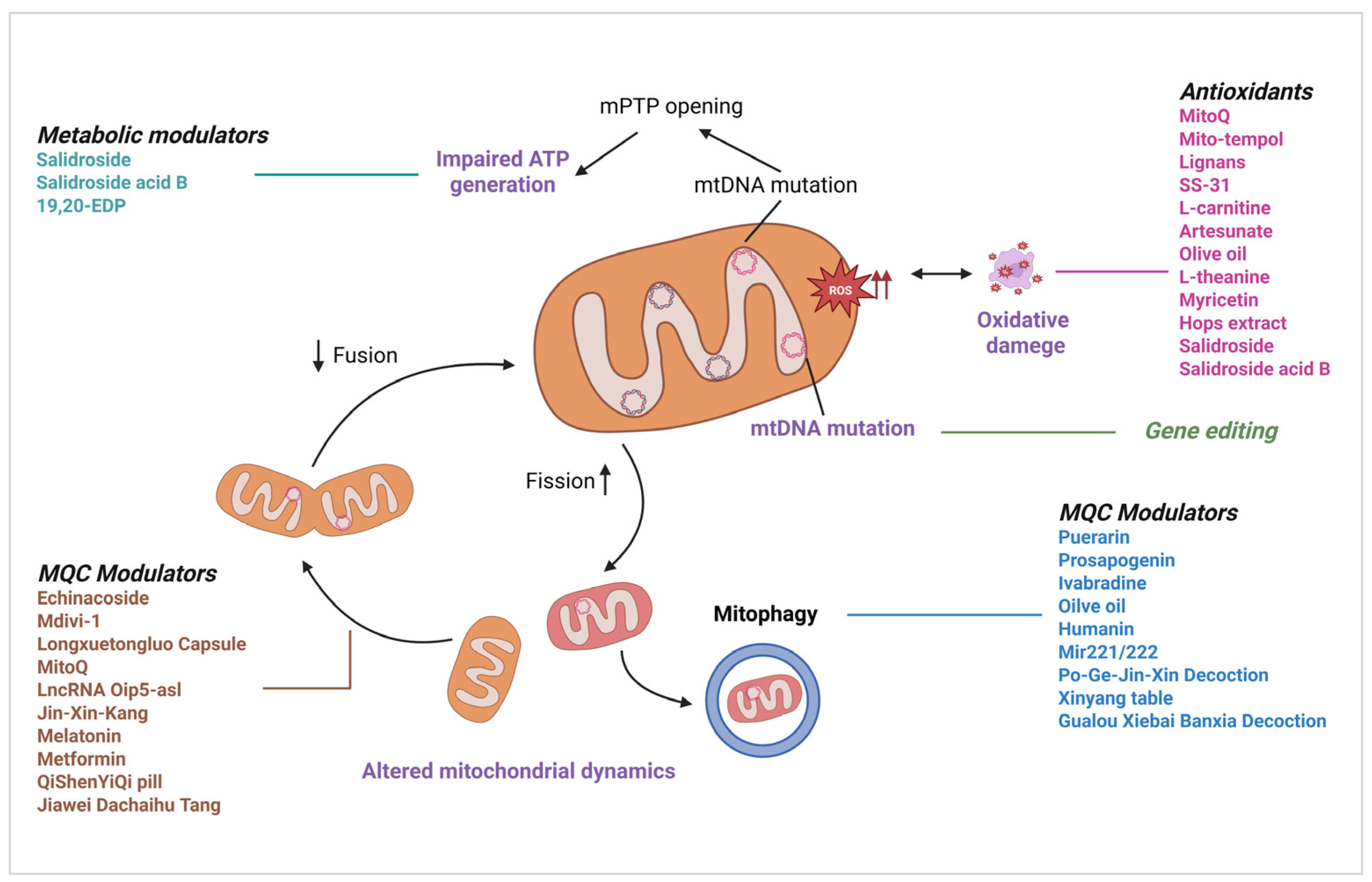 Cells 14 01621 g005 Cells 14 01621 g005