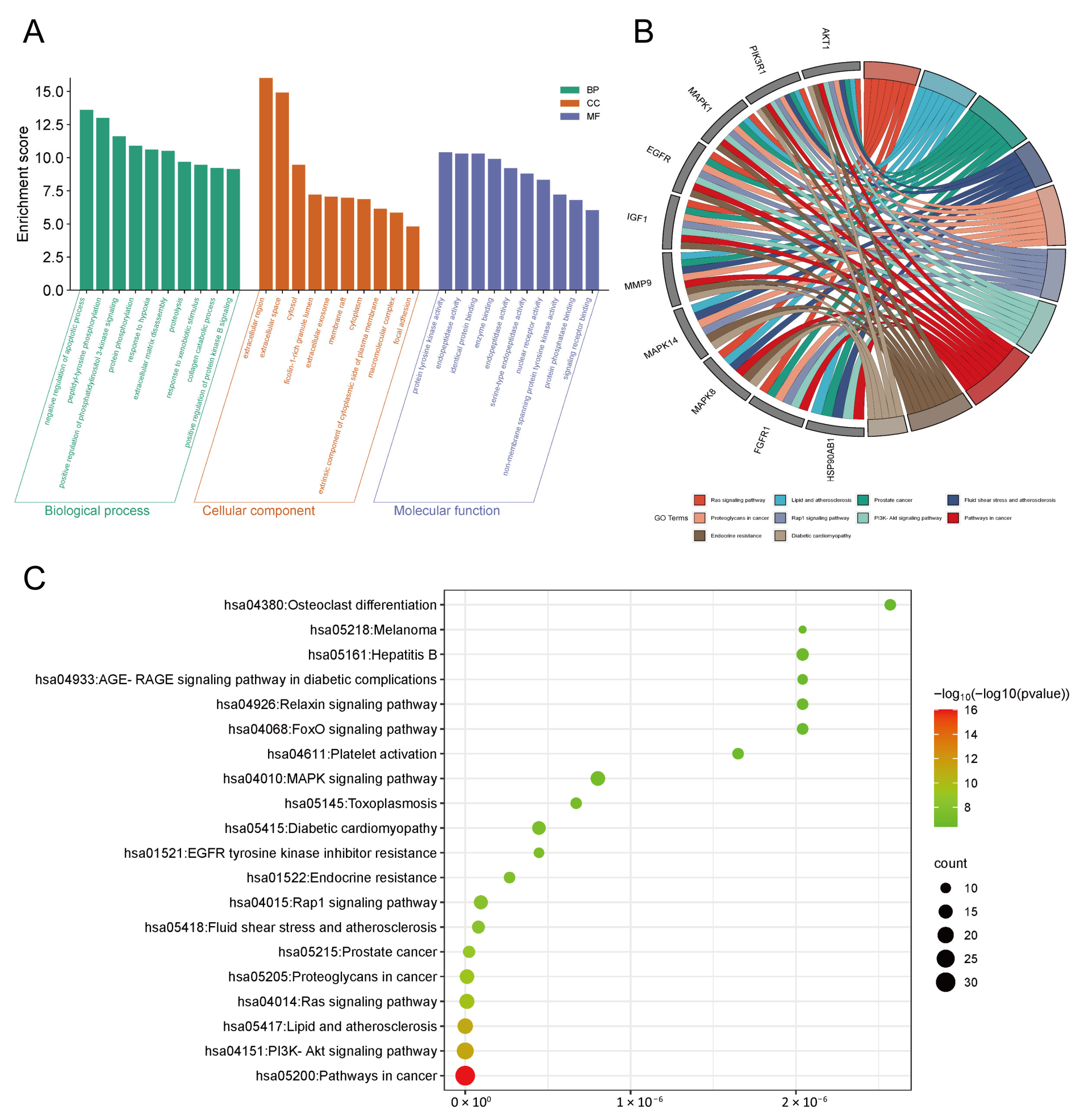 Cells 14 01625 g002 Cells 14 01625 g002