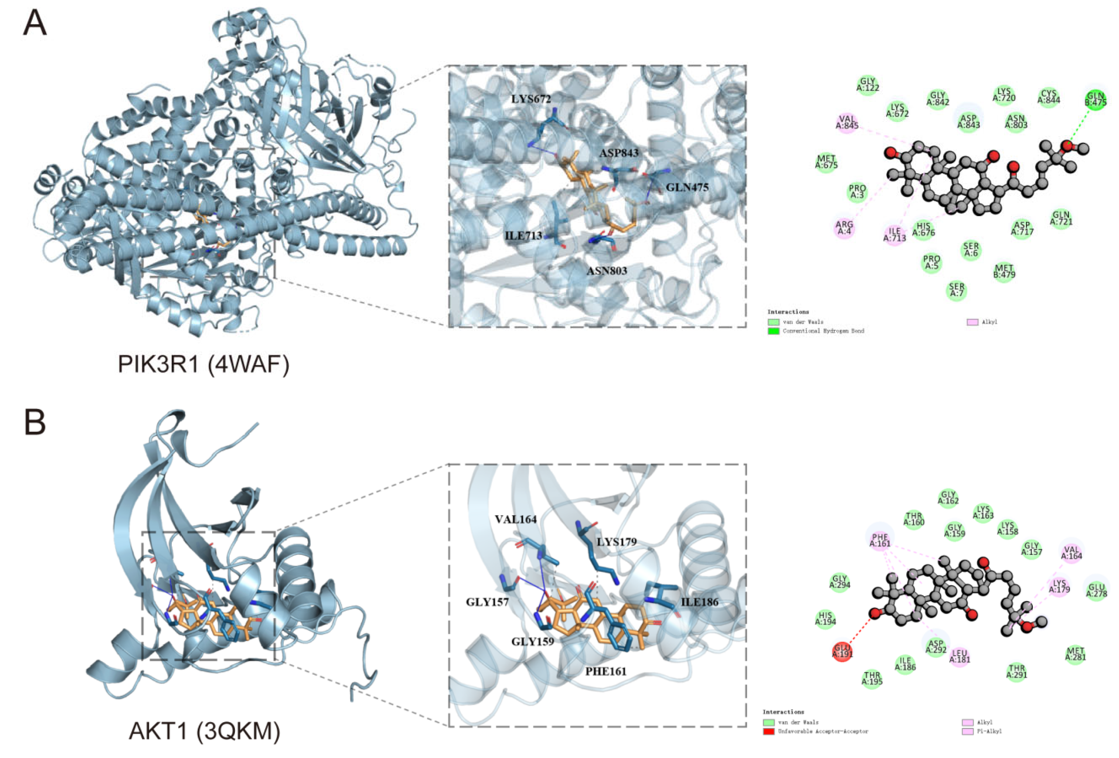 Cells 14 01625 g003 Cells 14 01625 g003