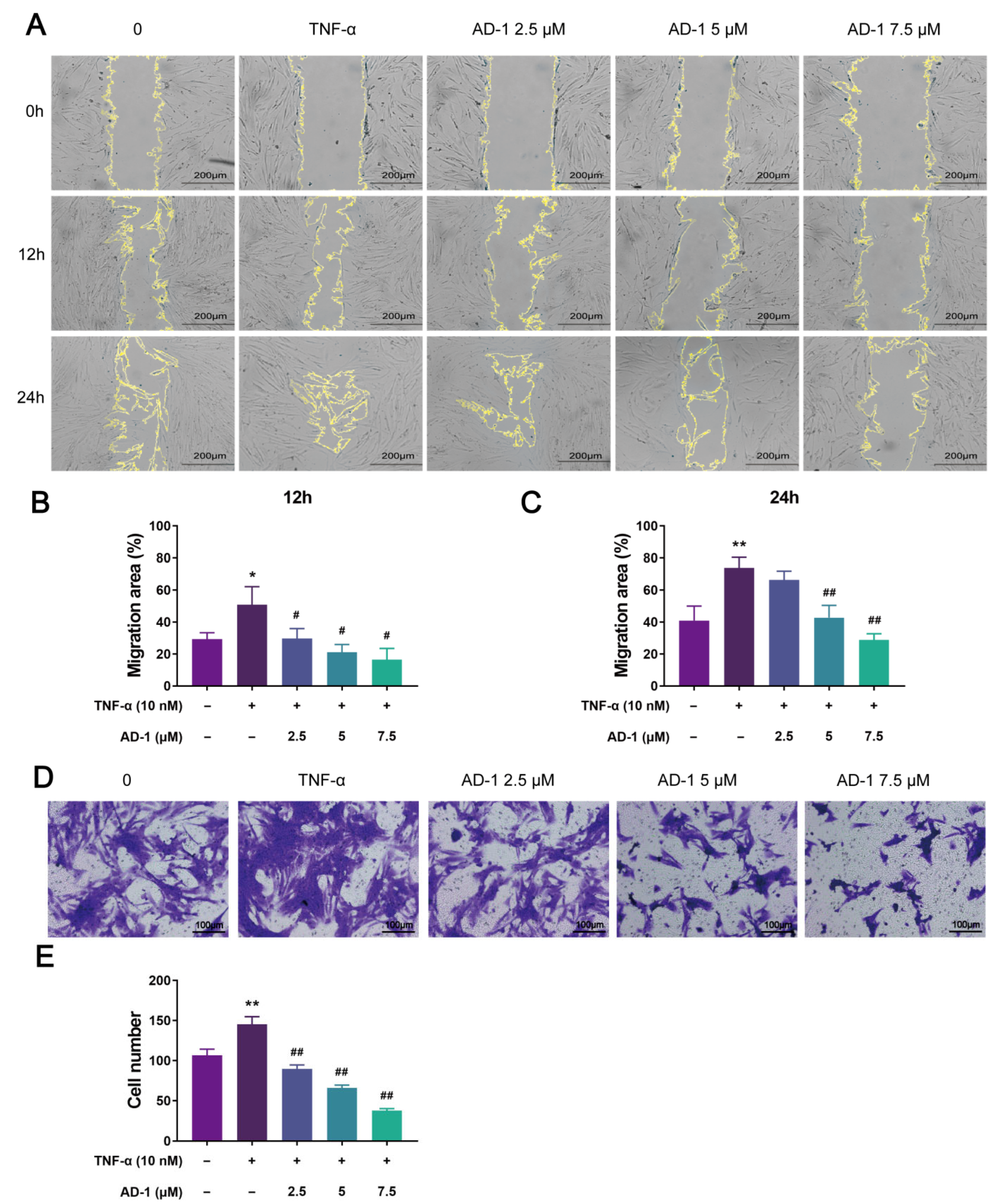 Cells 14 01625 g008 Cells 14 01625 g008