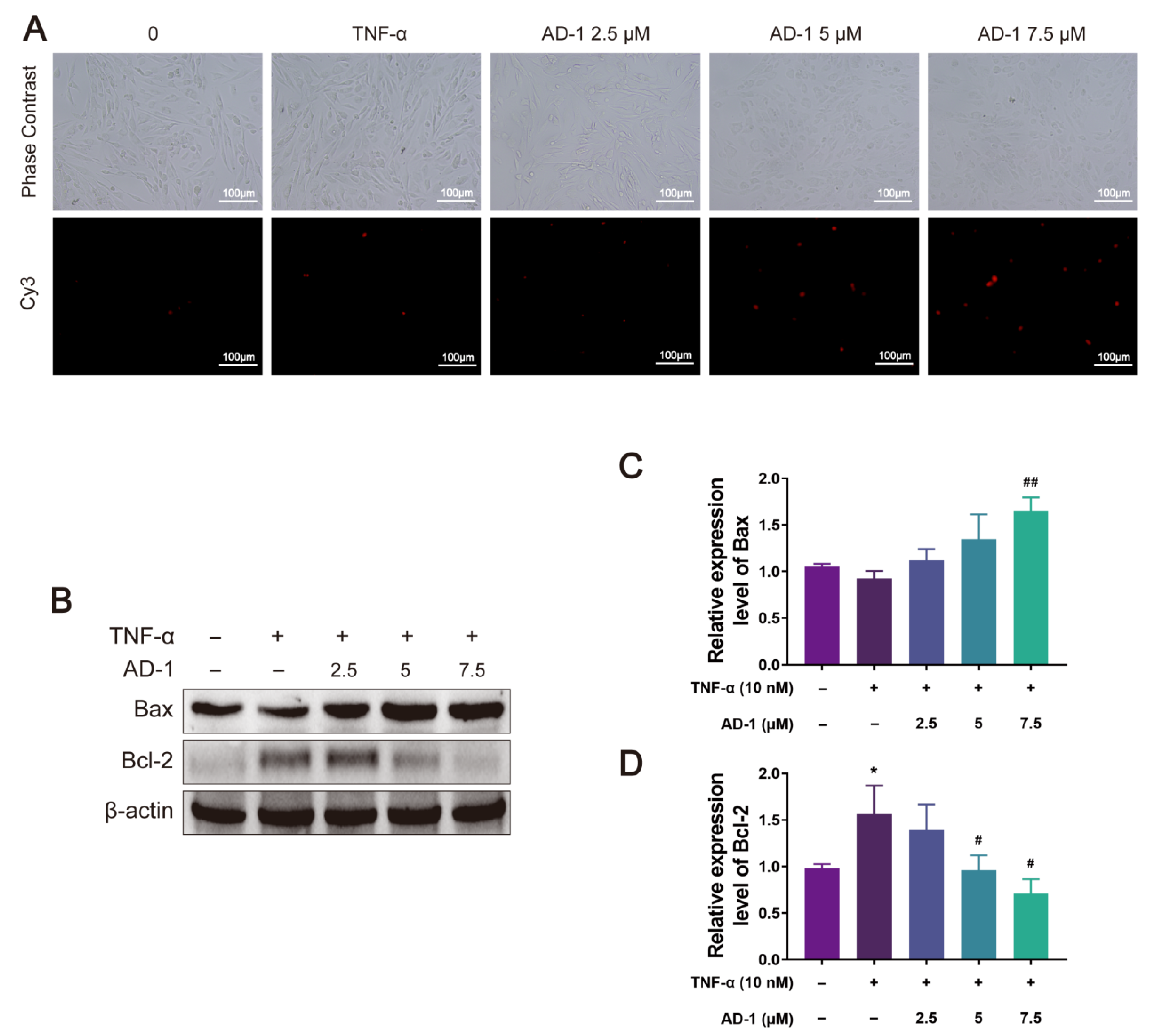 Cells 14 01625 g009 Cells 14 01625 g009