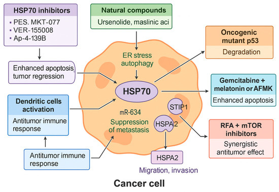 スモーキング Heat Shock Proteins in Pancreatic Cancer: Pathogenic Mechanisms