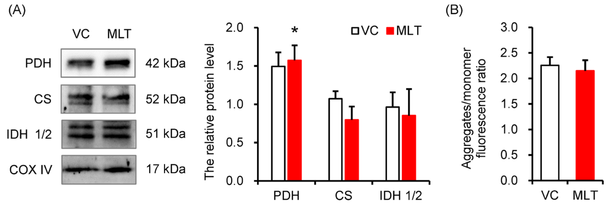 Cells 14 01633 g003 Cells 14 01633 g003