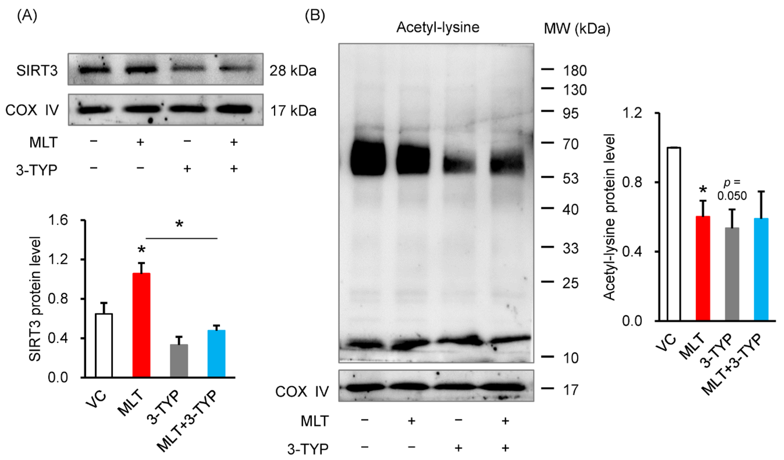Cells 14 01633 g004 Cells 14 01633 g004