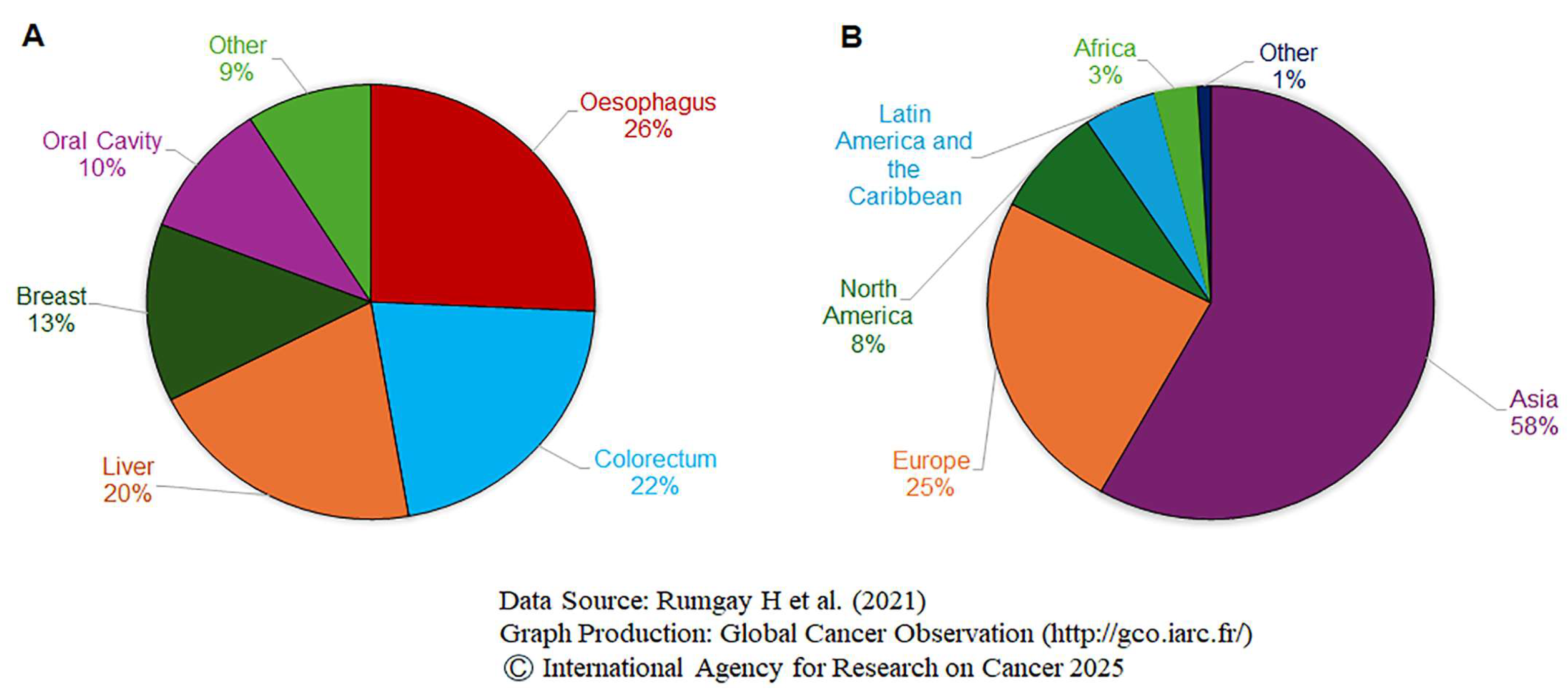Cells 14 01639 g001 Cells 14 01639 g001