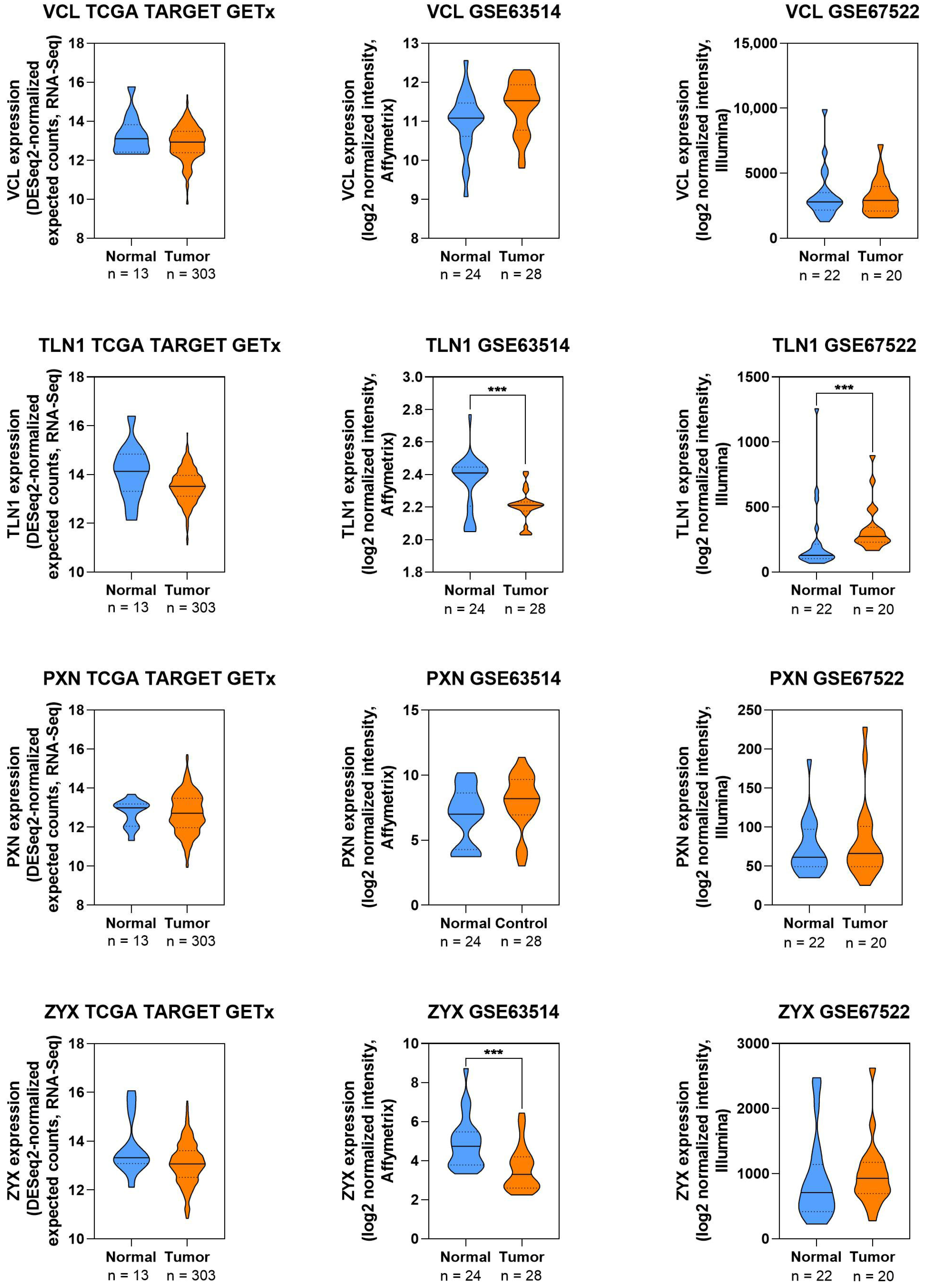 Cells 14 01640 g004 Cells 14 01640 g004