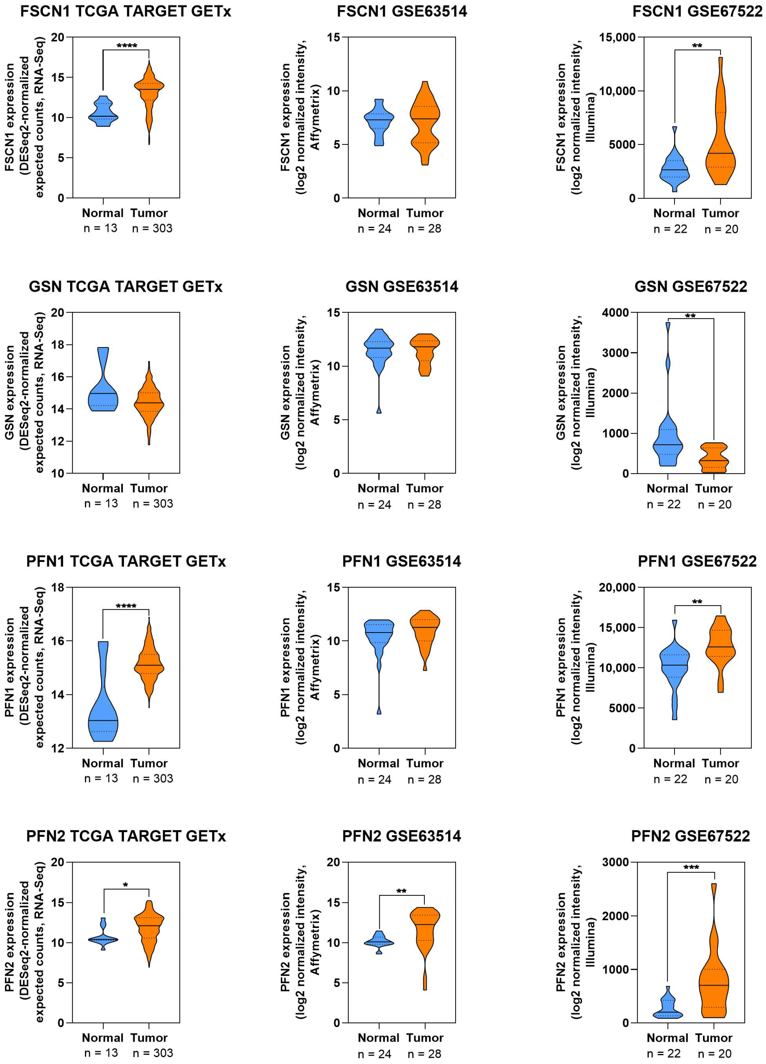 Cells 14 01640 g006 Cells 14 01640 g006
