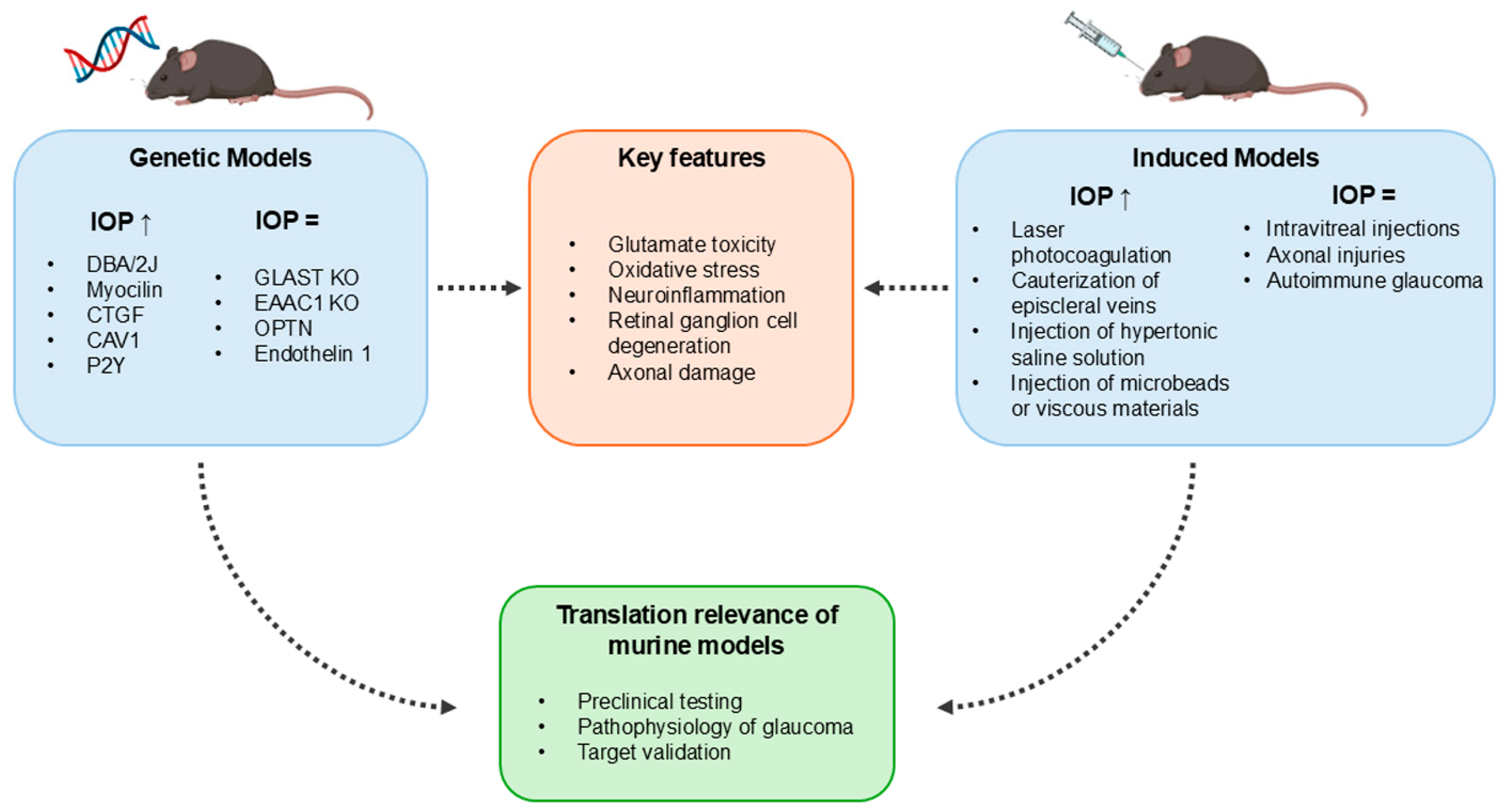 Cells 14 01648 g002 Cells 14 01648 g002