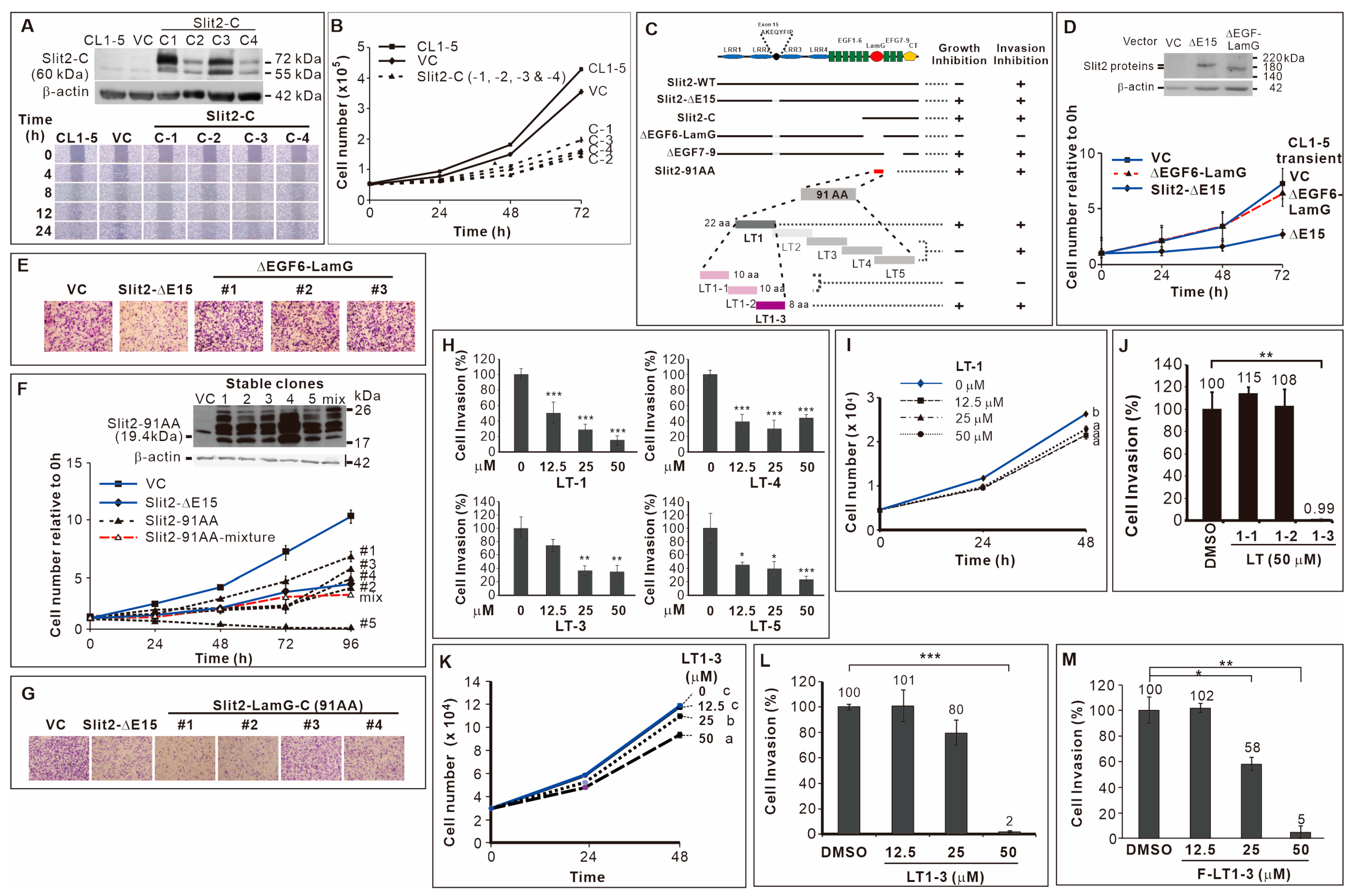 Cells 14 01654 g001 Cells 14 01654 g001
