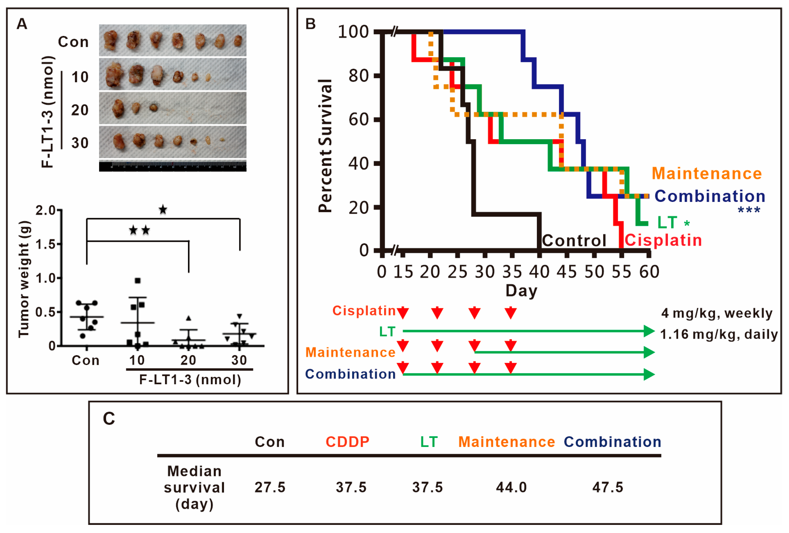 Cells 14 01654 g002 Cells 14 01654 g002