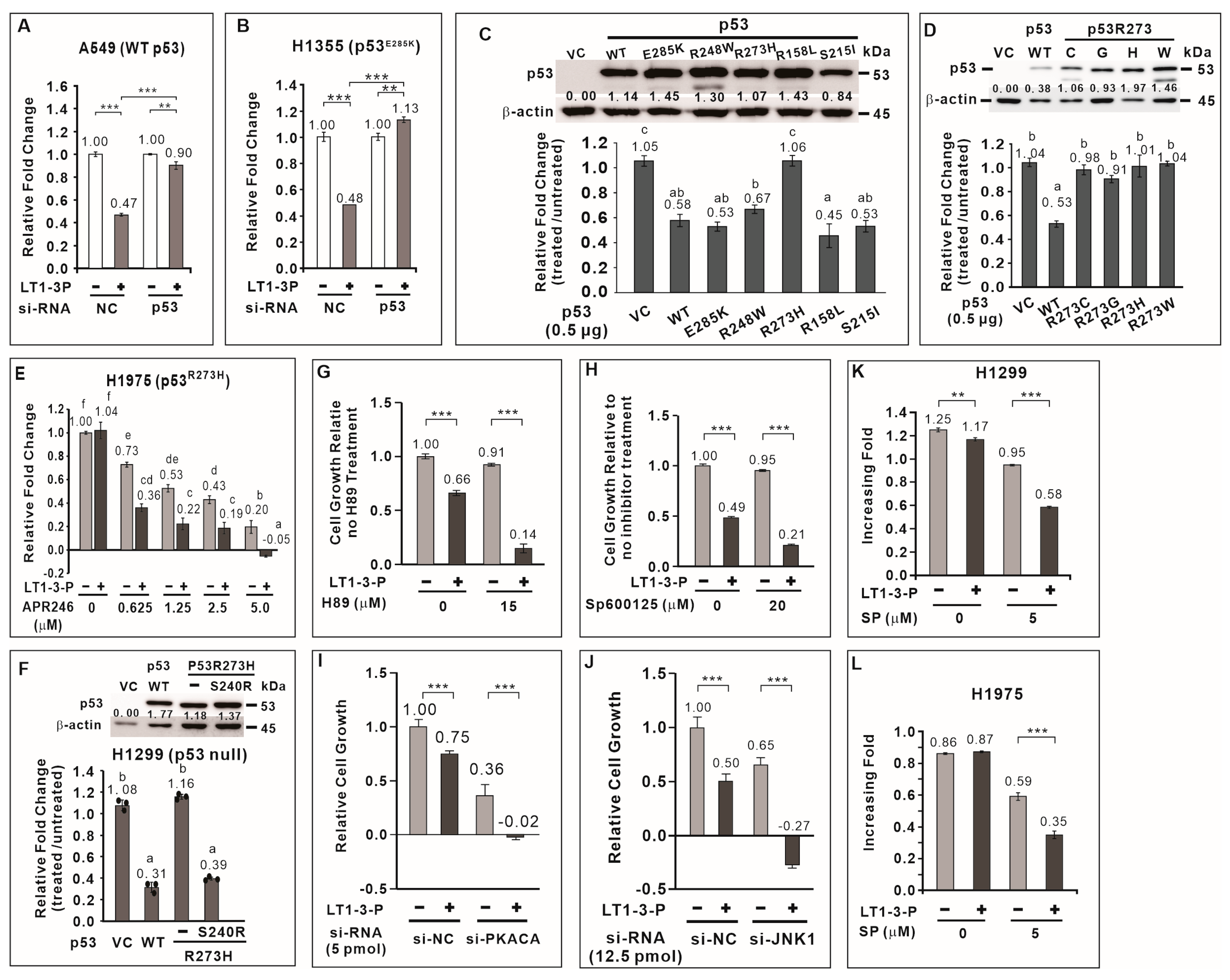 Cells 14 01654 g004 Cells 14 01654 g004