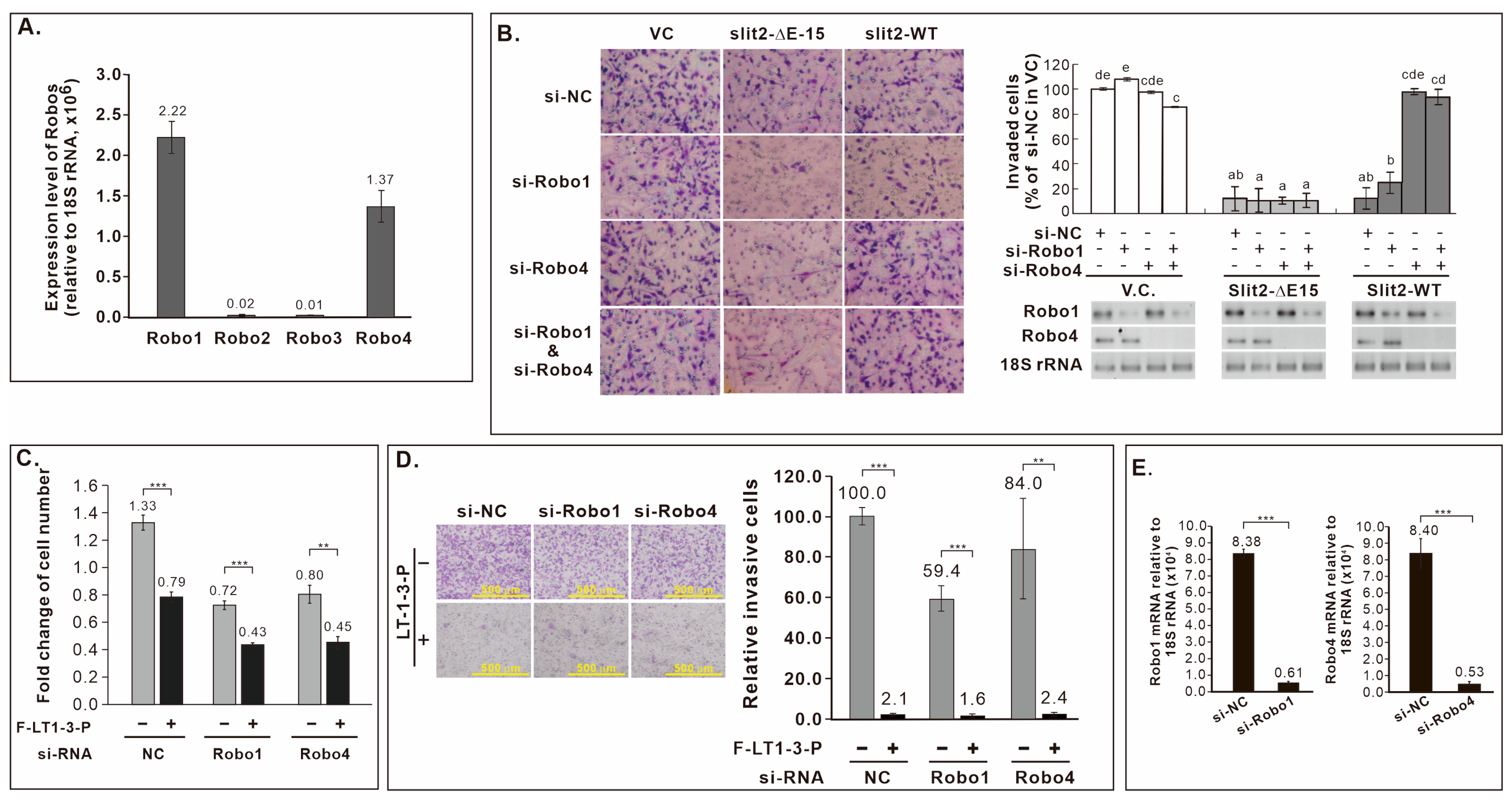 Cells 14 01654 g006 Cells 14 01654 g006