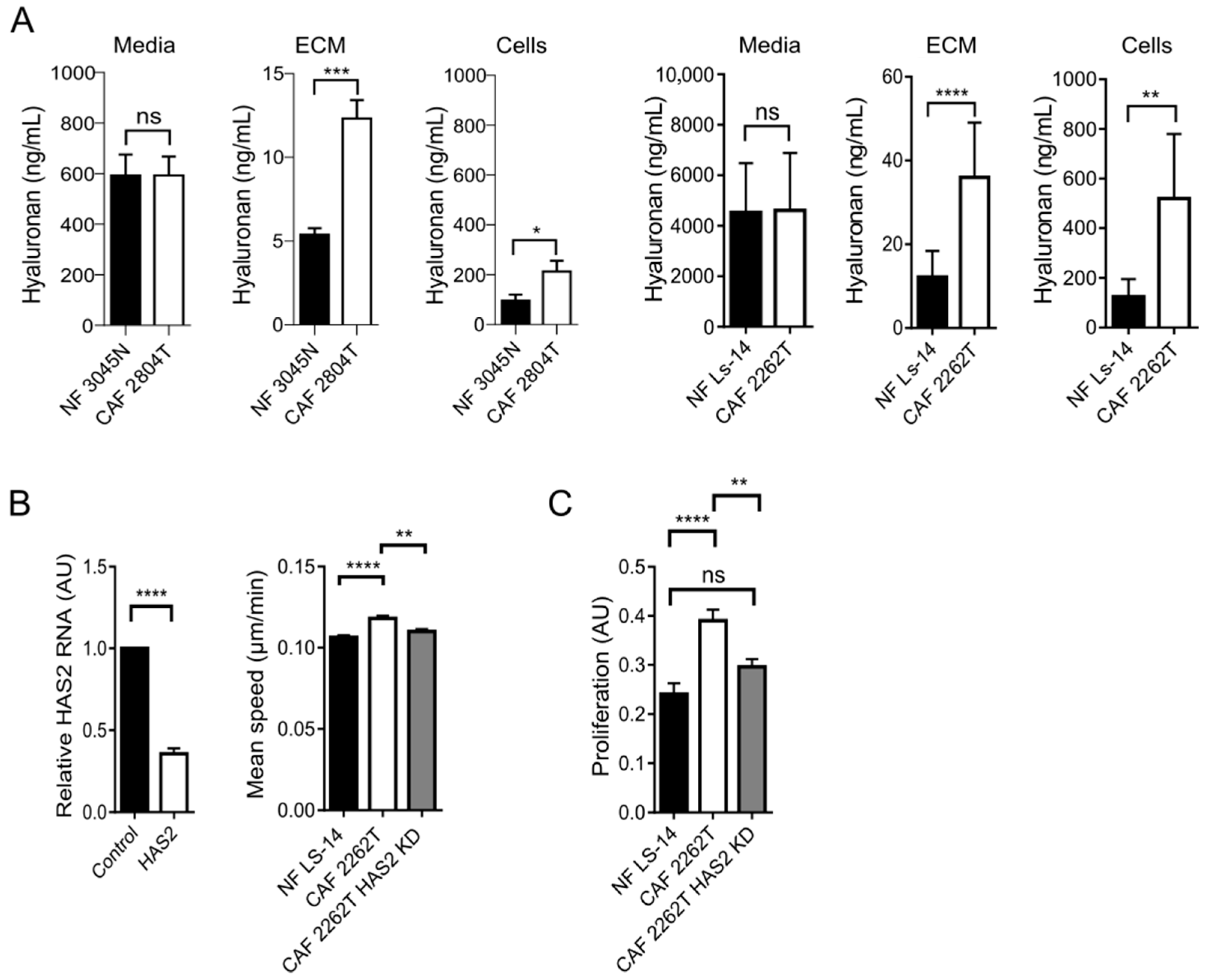 Cells 14 01663 g004 Cells 14 01663 g004