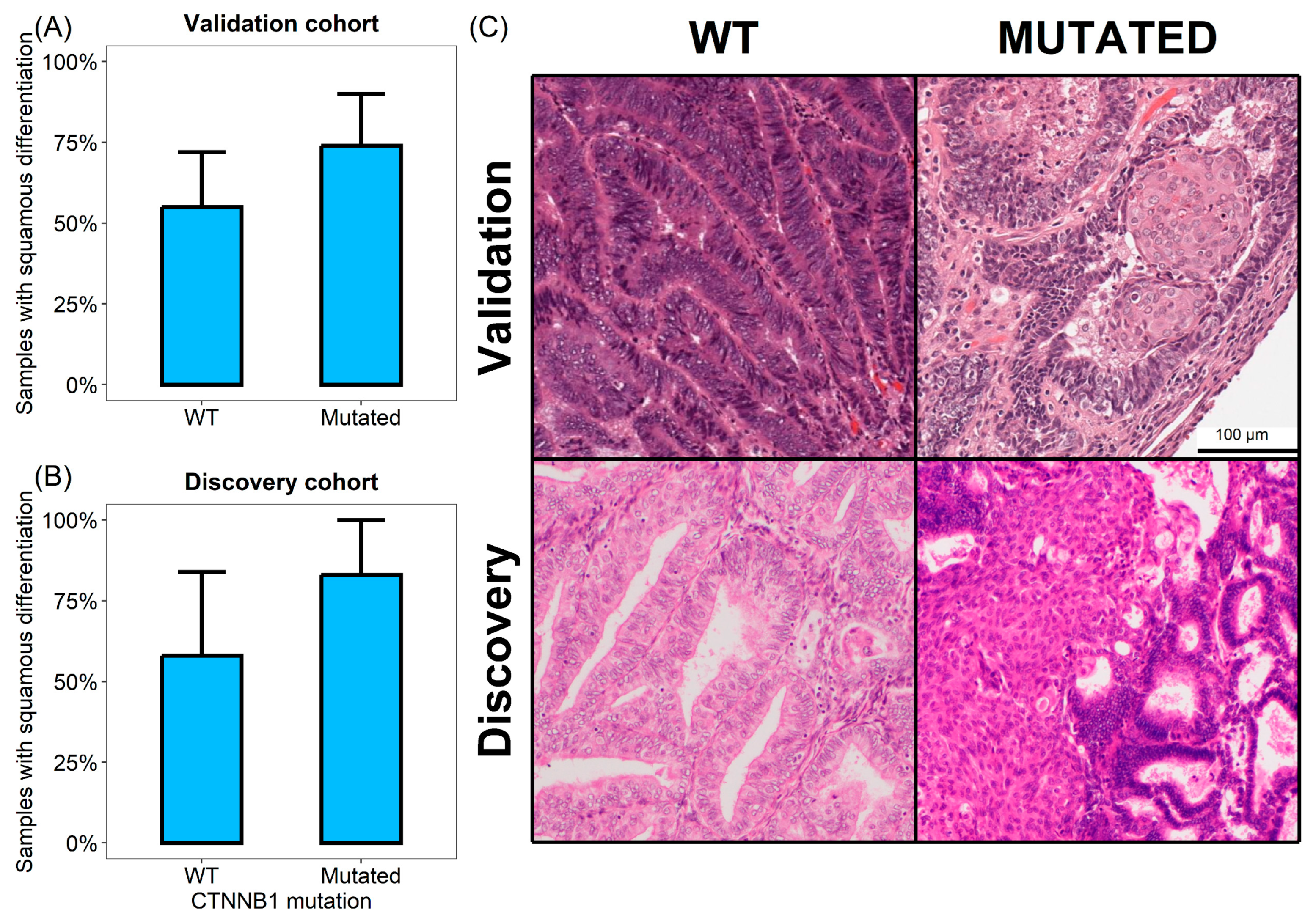 Cells 14 01676 g002 Cells 14 01676 g002