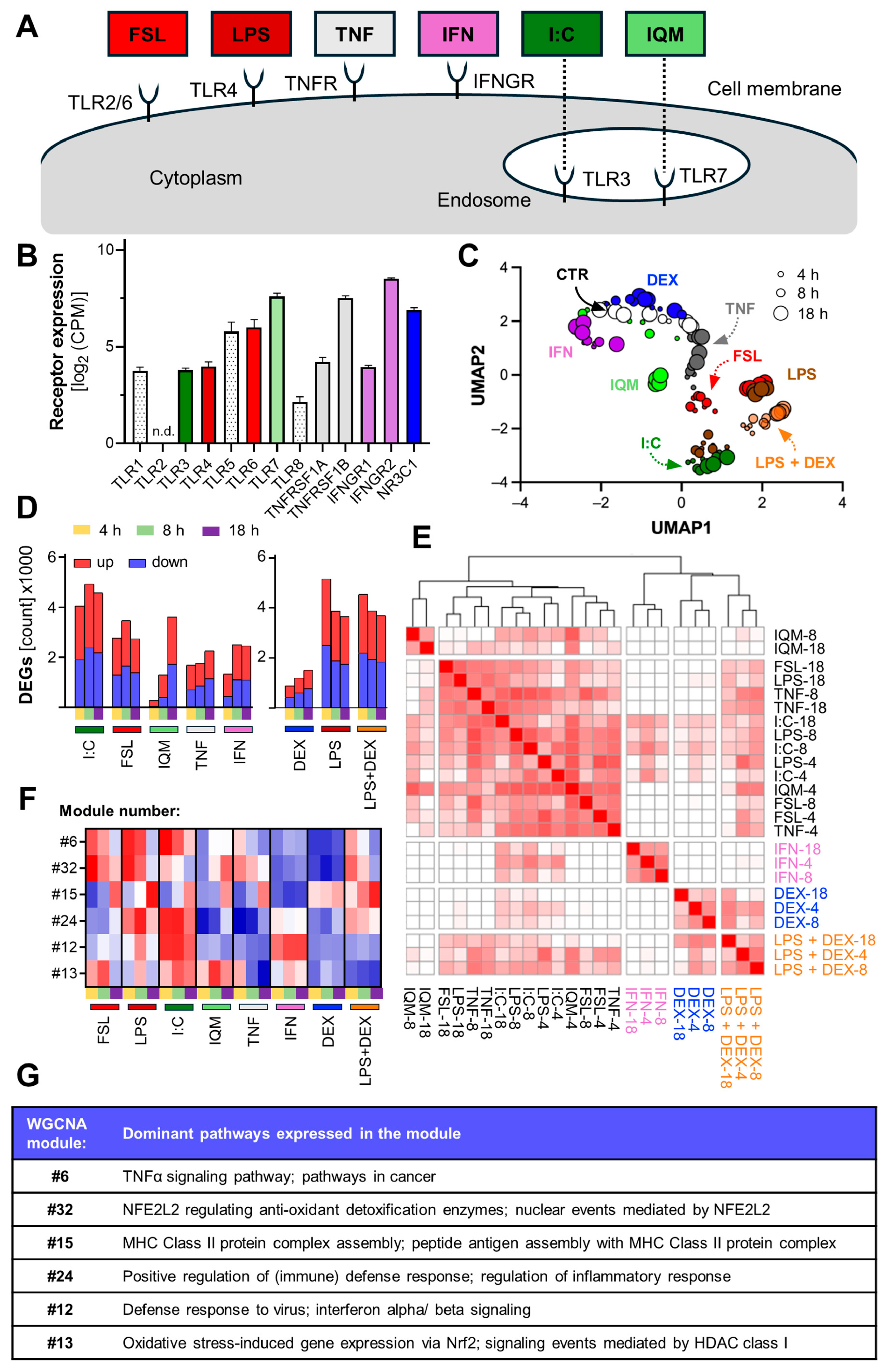 Cells 14 01687 g002 Cells 14 01687 g002