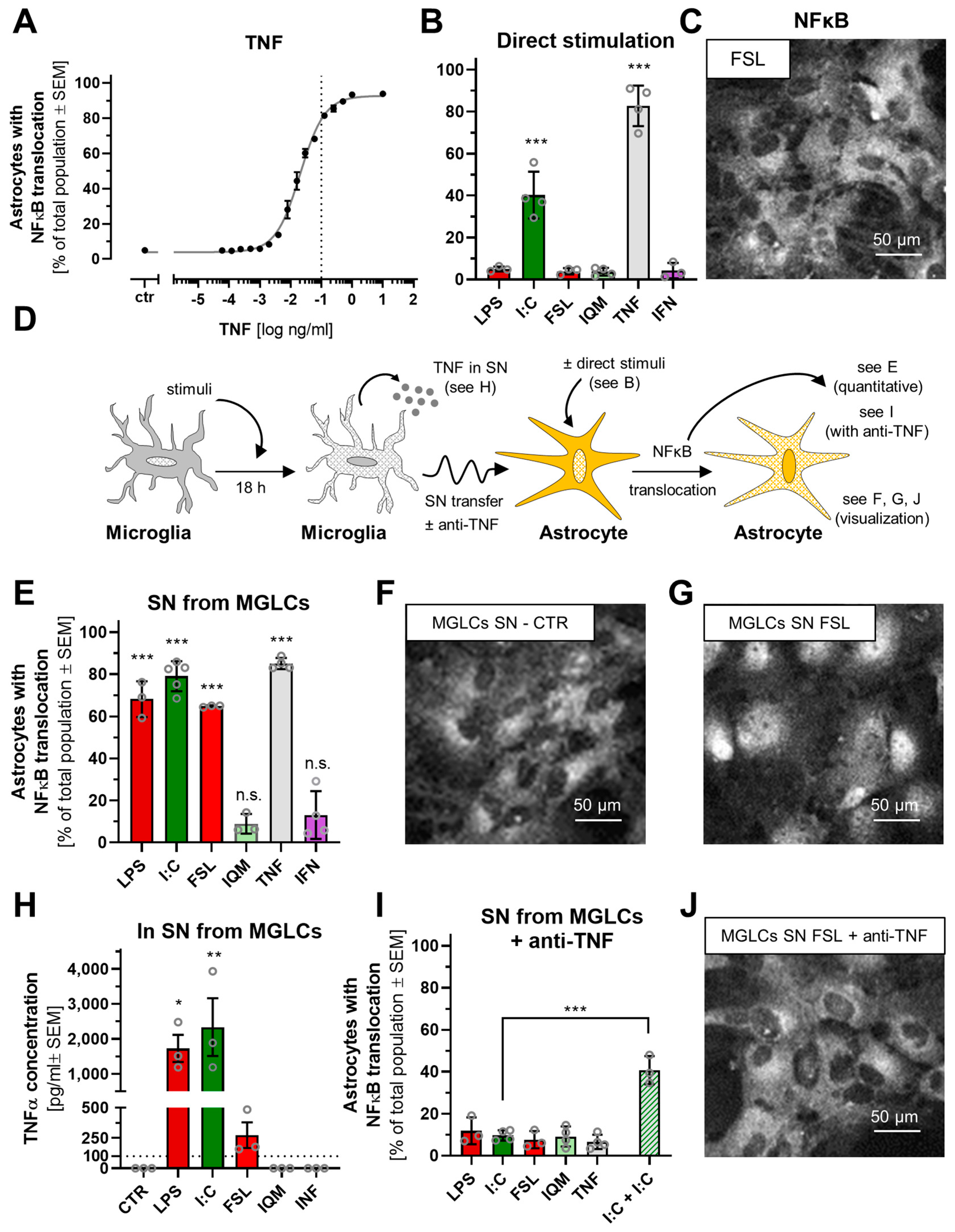 Cells 14 01687 g005 Cells 14 01687 g005