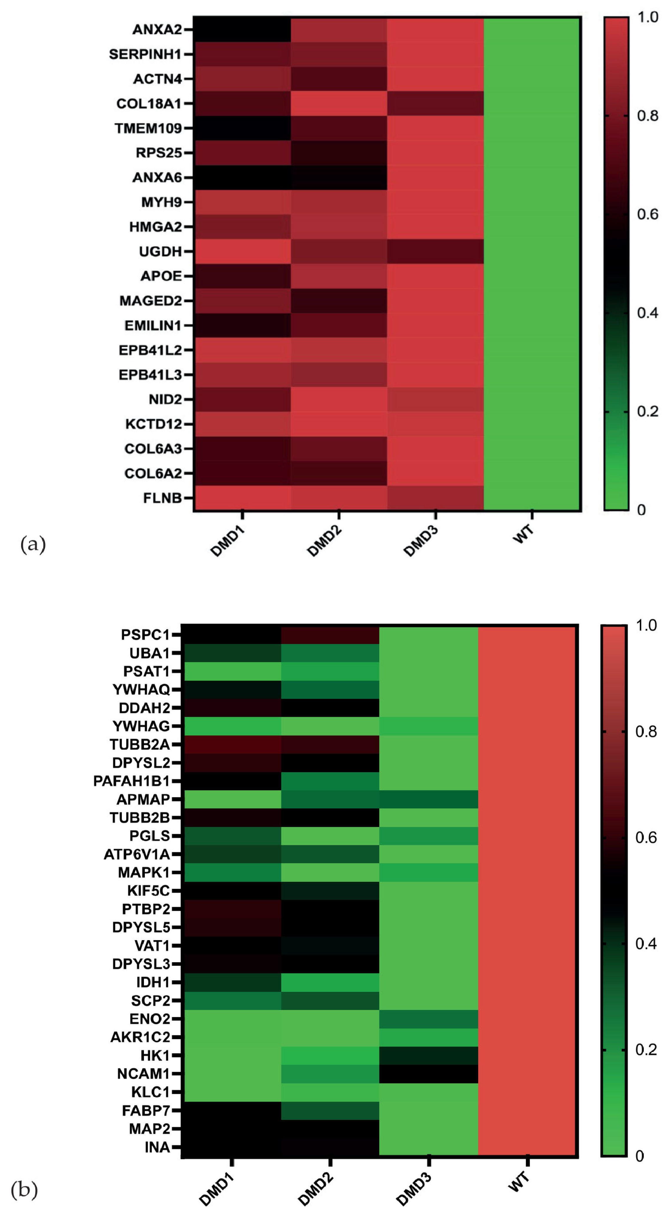Cells 14 01688 g002 Cells 14 01688 g002