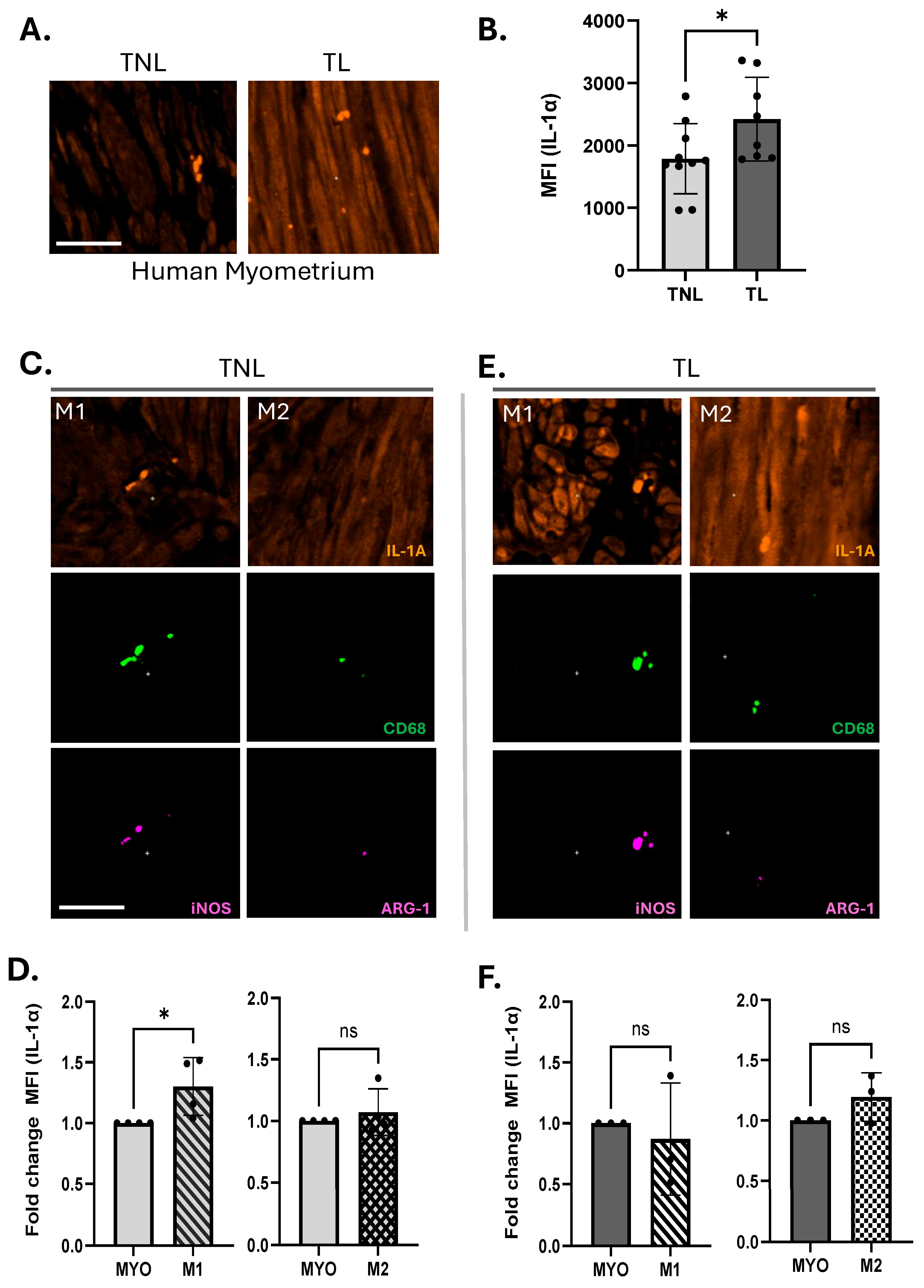Cells 14 01692 g001 Cells 14 01692 g001