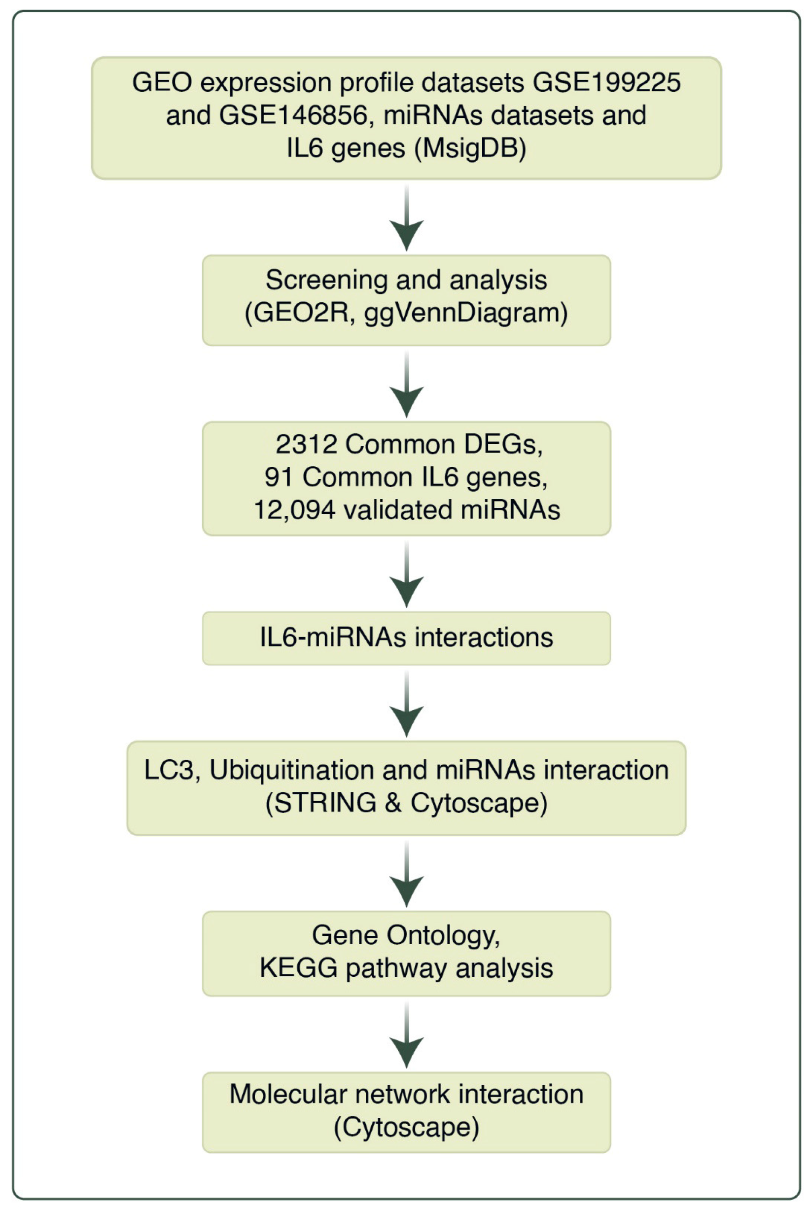 Cells 14 01693 g001 Cells 14 01693 g001