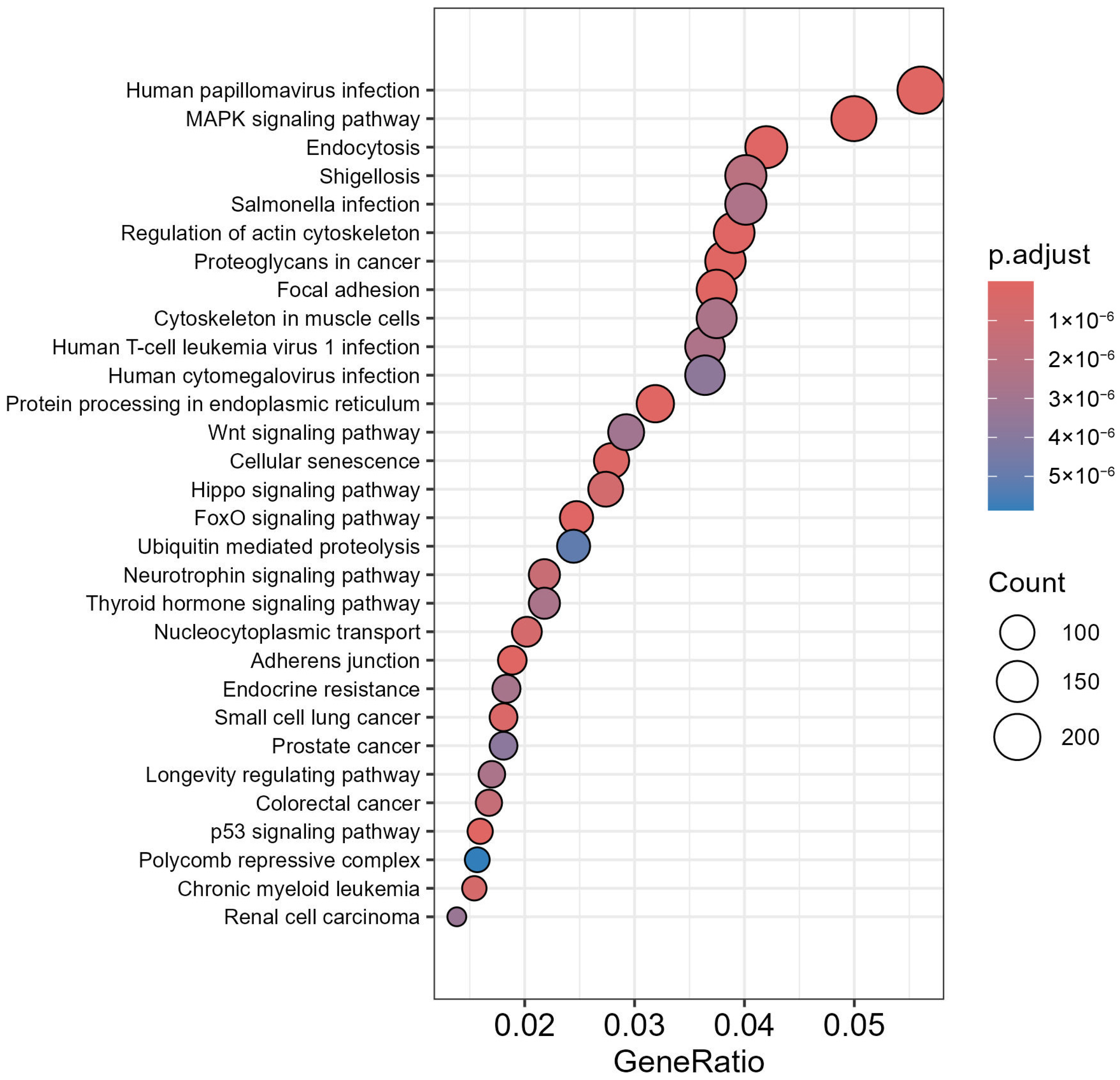 Cells 14 01693 g004 Cells 14 01693 g004