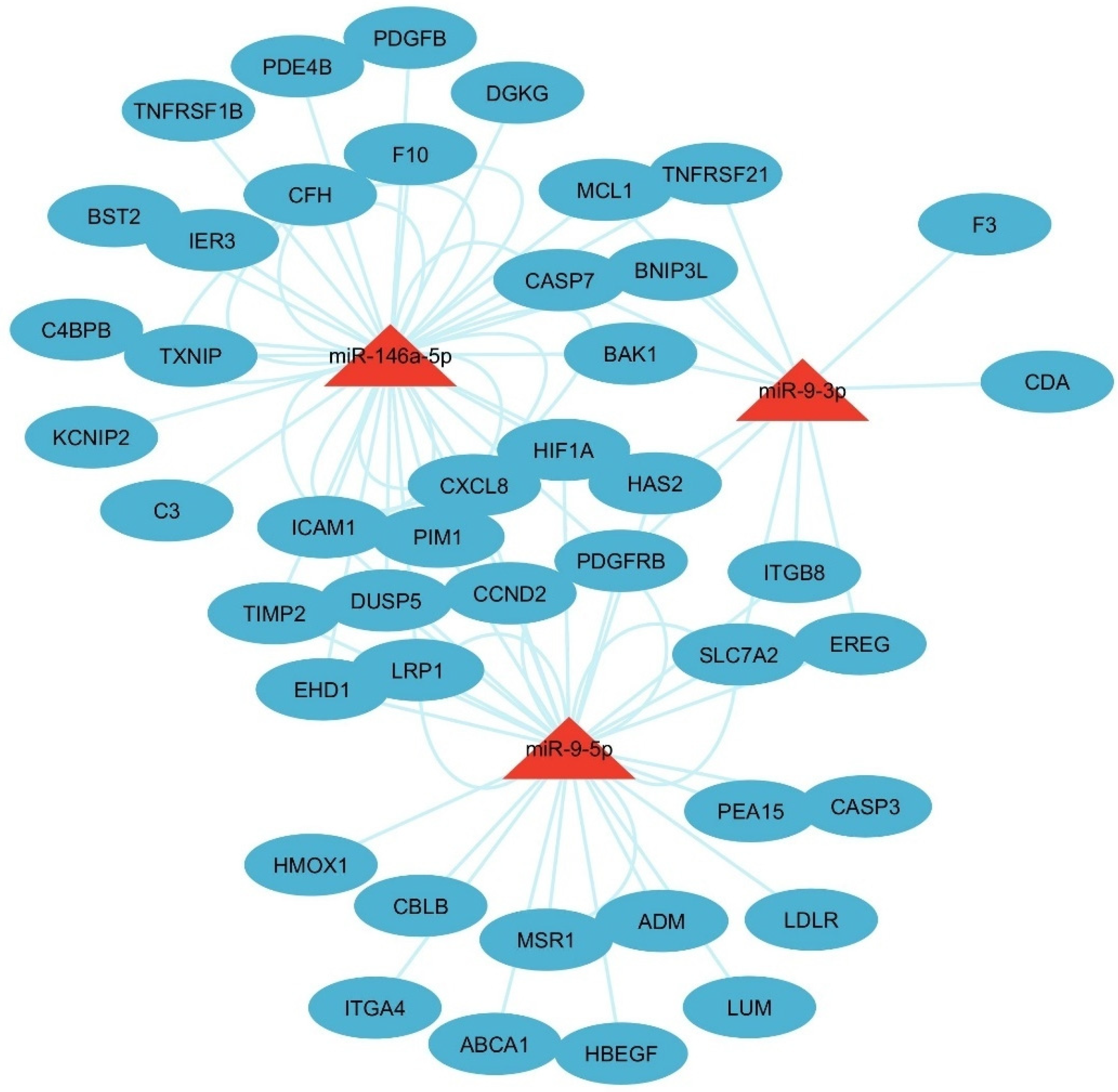 Cells 14 01693 g006 Cells 14 01693 g006