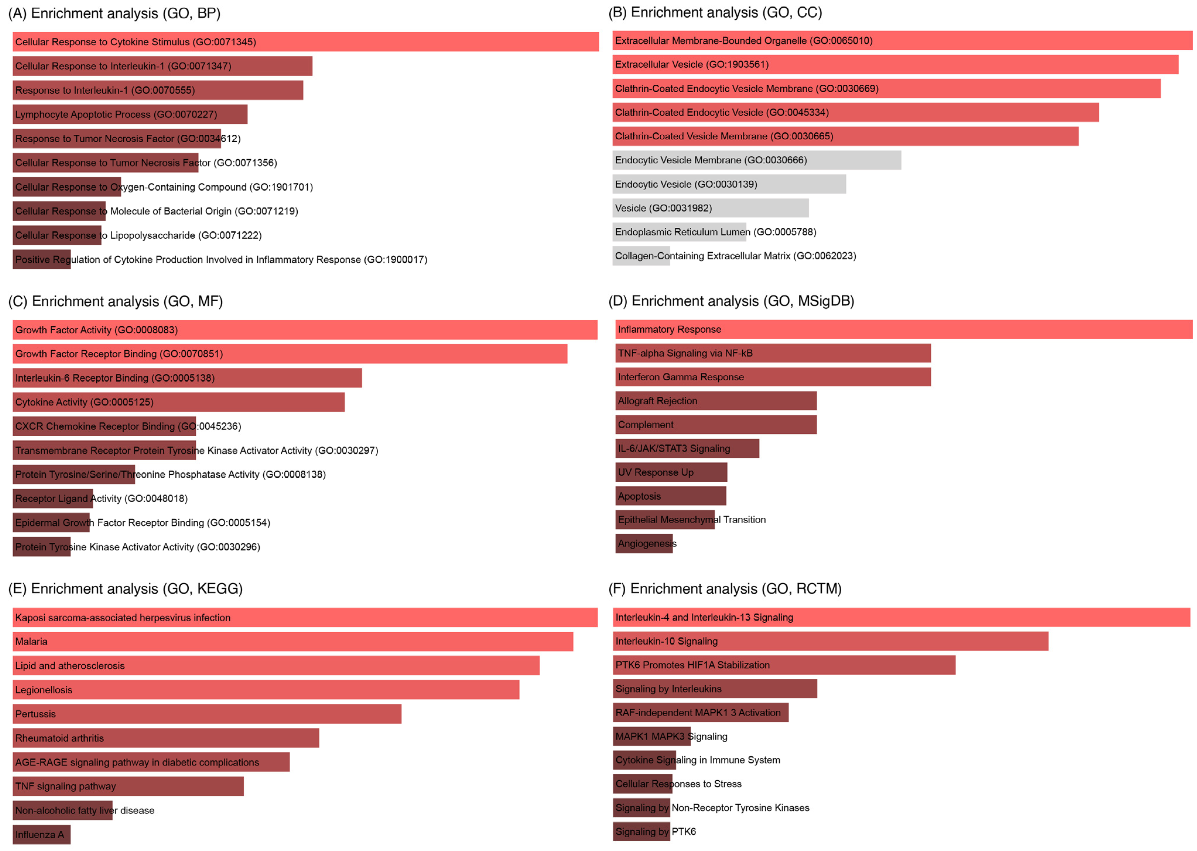 Cells 14 01693 g007 Cells 14 01693 g007