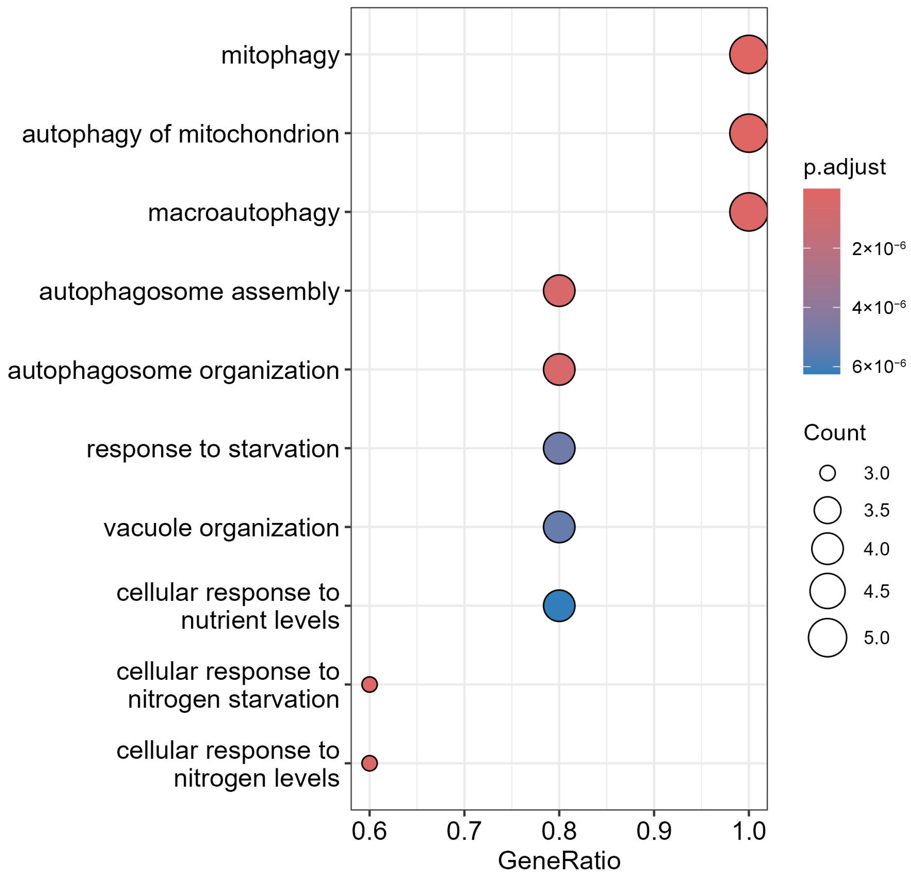 Cells 14 01693 g008 Cells 14 01693 g008